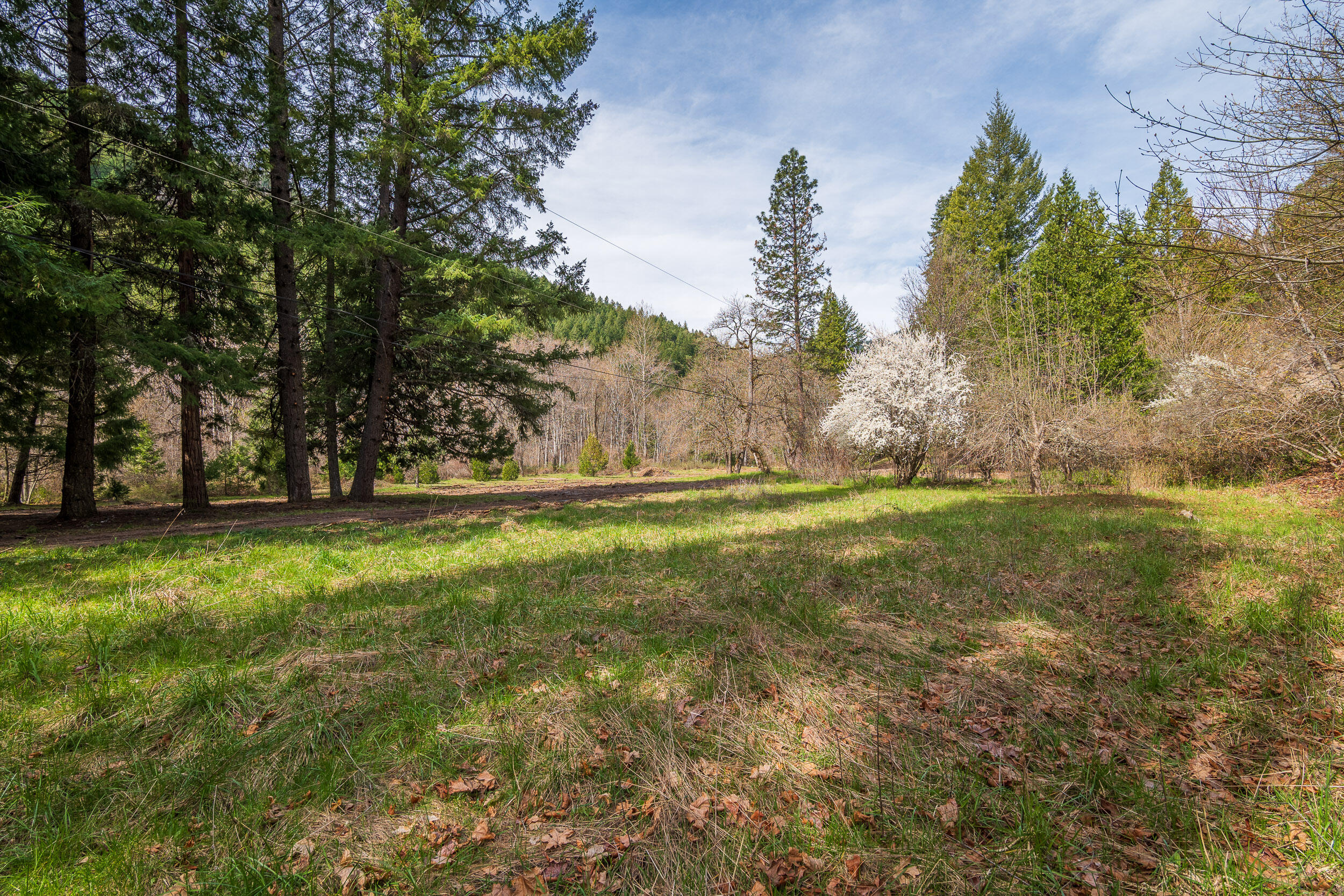 11950 South Fork Little Butte Creek Road Eagle Point, OR 97524 - Photo 3 of 27 SFLILBUTTE3
