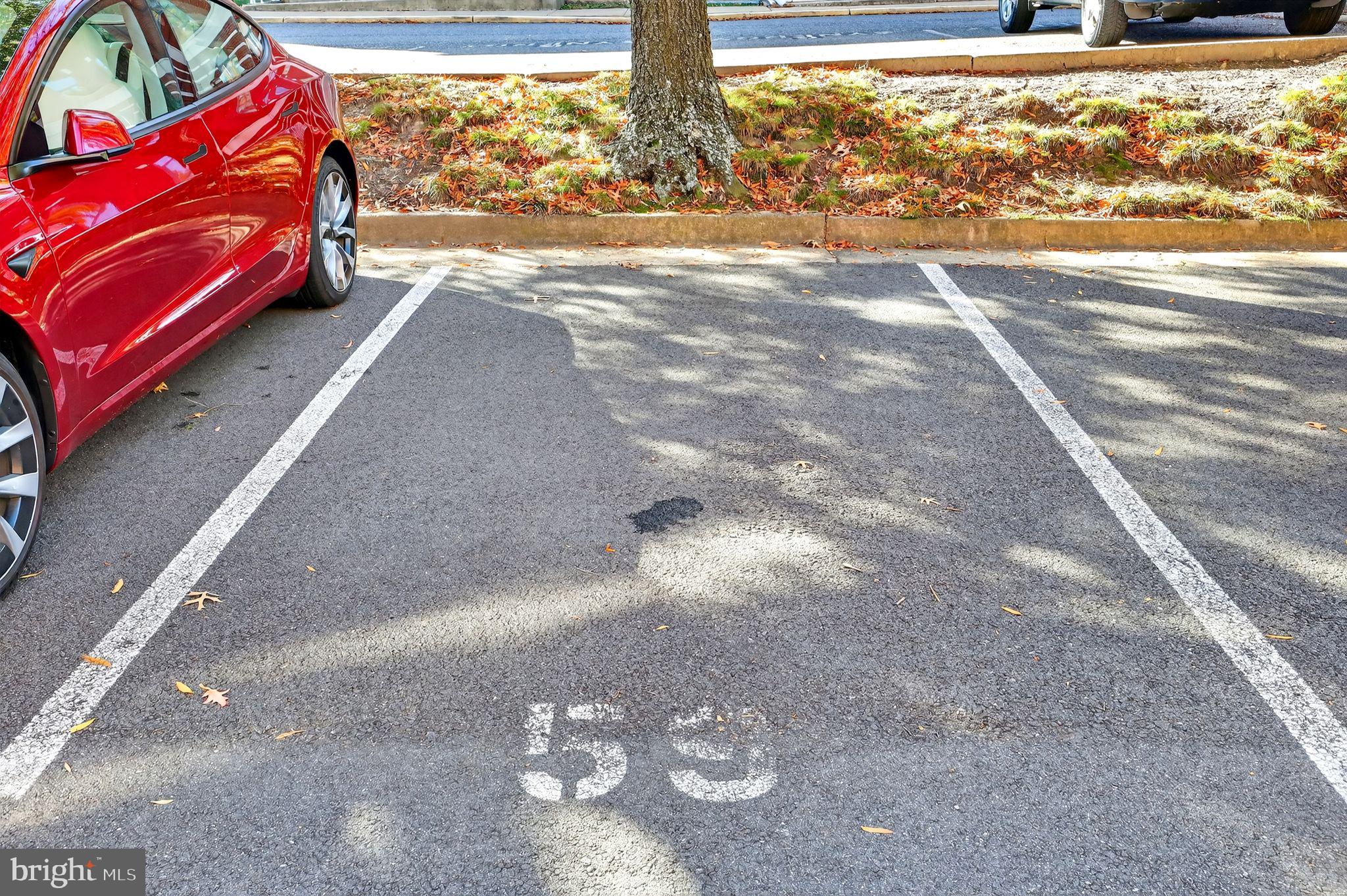 500 Bashford Lane, Unit 3321 Alexandria, VA 22314 - Photo 16 of 20 a view of a yard with an outdoor space