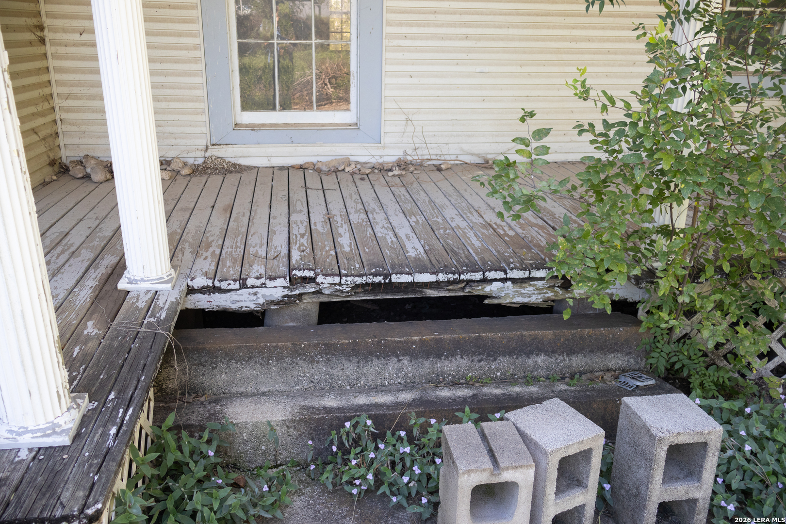 134 Kessler Lane Knippa, TX 78870 - Photo 5 of 32