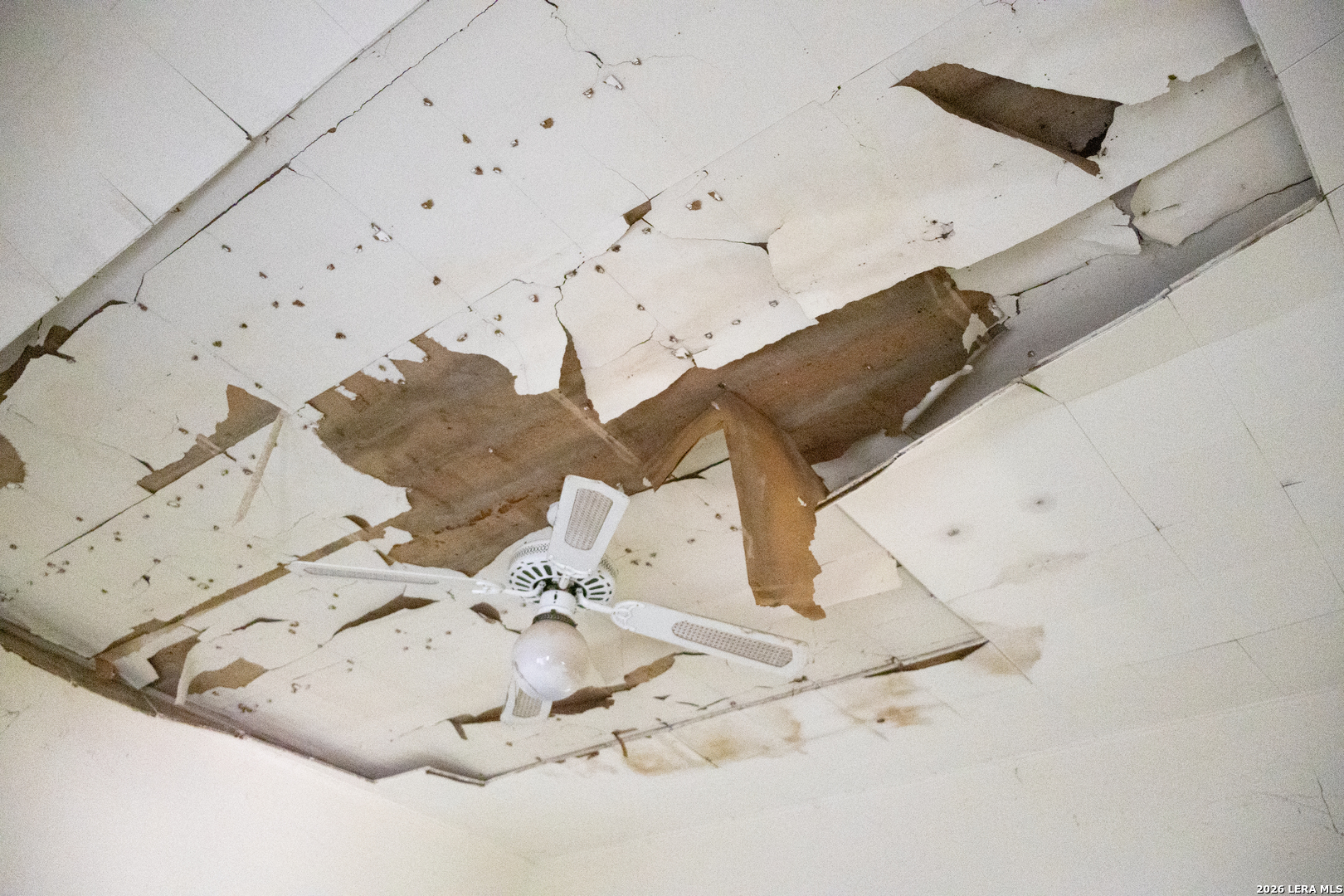 134 Kessler Lane Knippa, TX 78870 - Photo 7 of 32