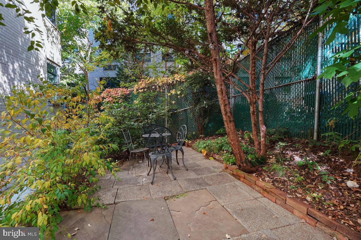 3025 Ontario Road Northwest, Unit 306 Washington, DC 20009 - Photo 27 of 29