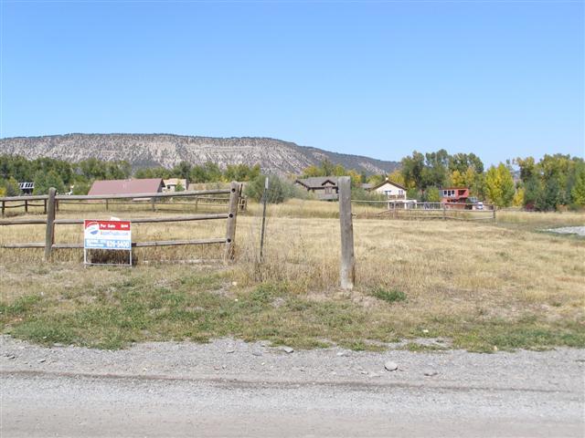 Primary Photo