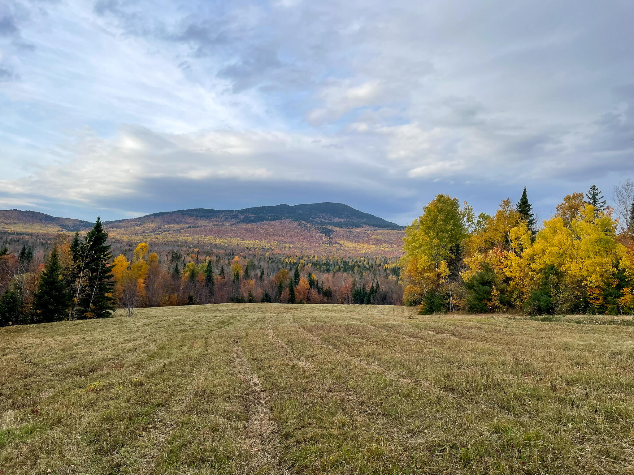 Lot 16 Up Back Rd Mount Mount Chase, ME 04765 - Photo 25 of 38 Photo Oct 13 2022, 3 25 59 PM