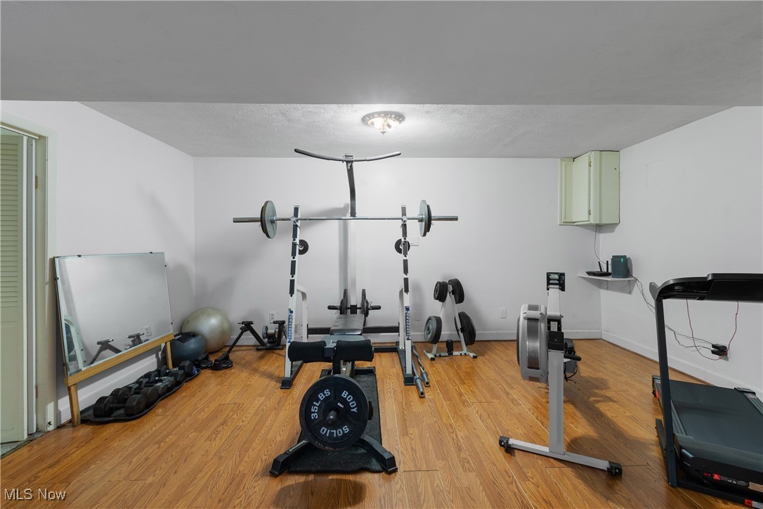 234 Reed Road Wooster, OH 44691 - Photo 28 of 36 Exercise room featuring light wood-style flooring and a textured ceiling