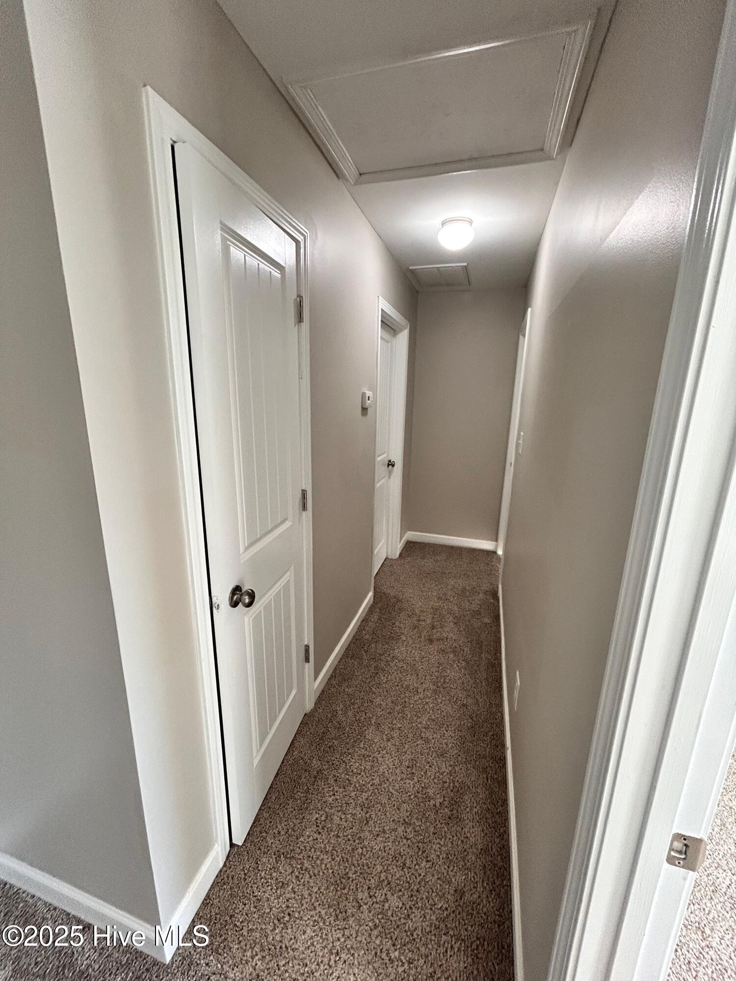 106 Blueberry Fields Road Maple Hill, NC 28454 - Photo 20 of 30 original (1)