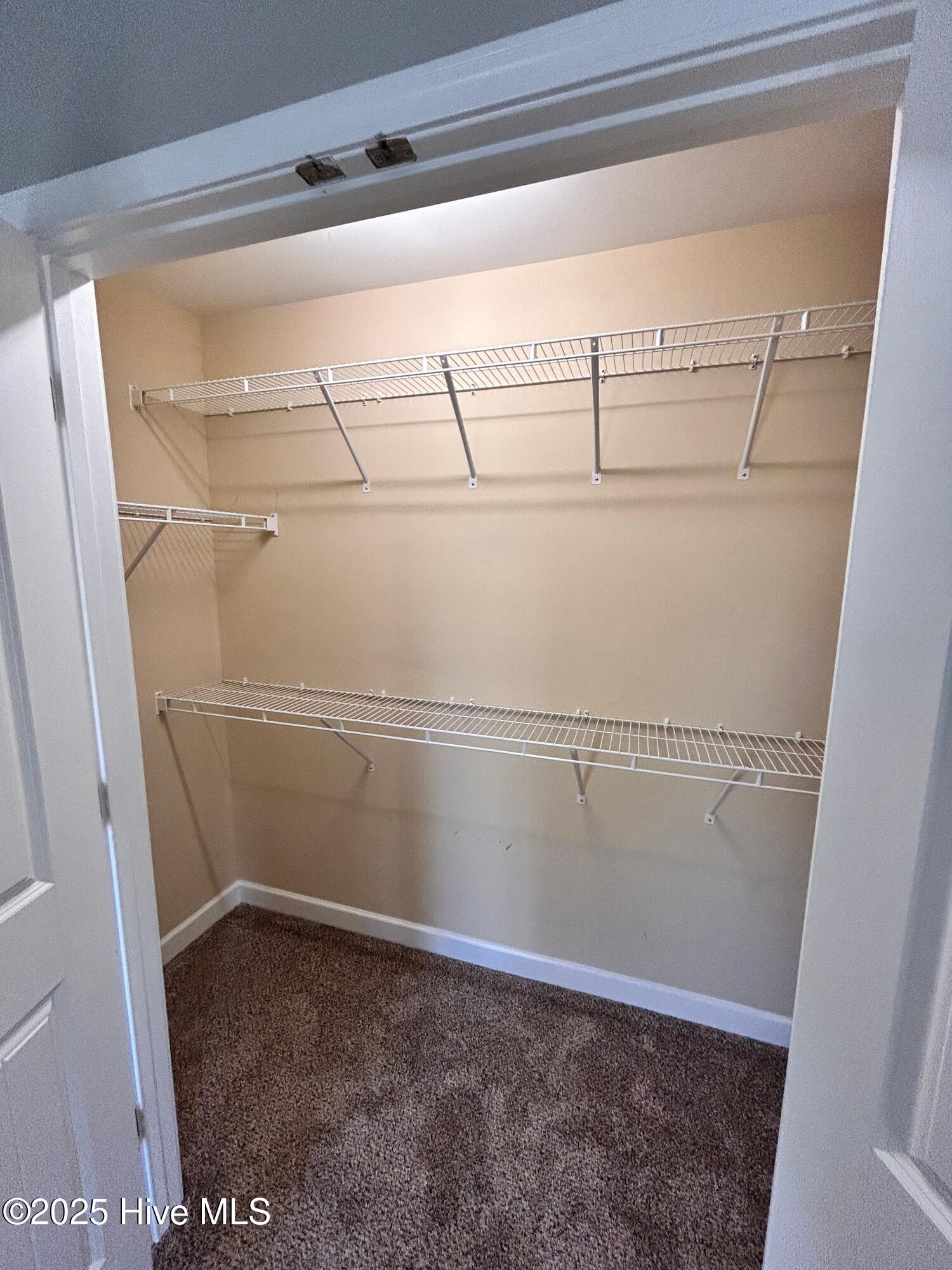 106 Blueberry Fields Road Maple Hill, NC 28454 - Photo 28 of 30 original