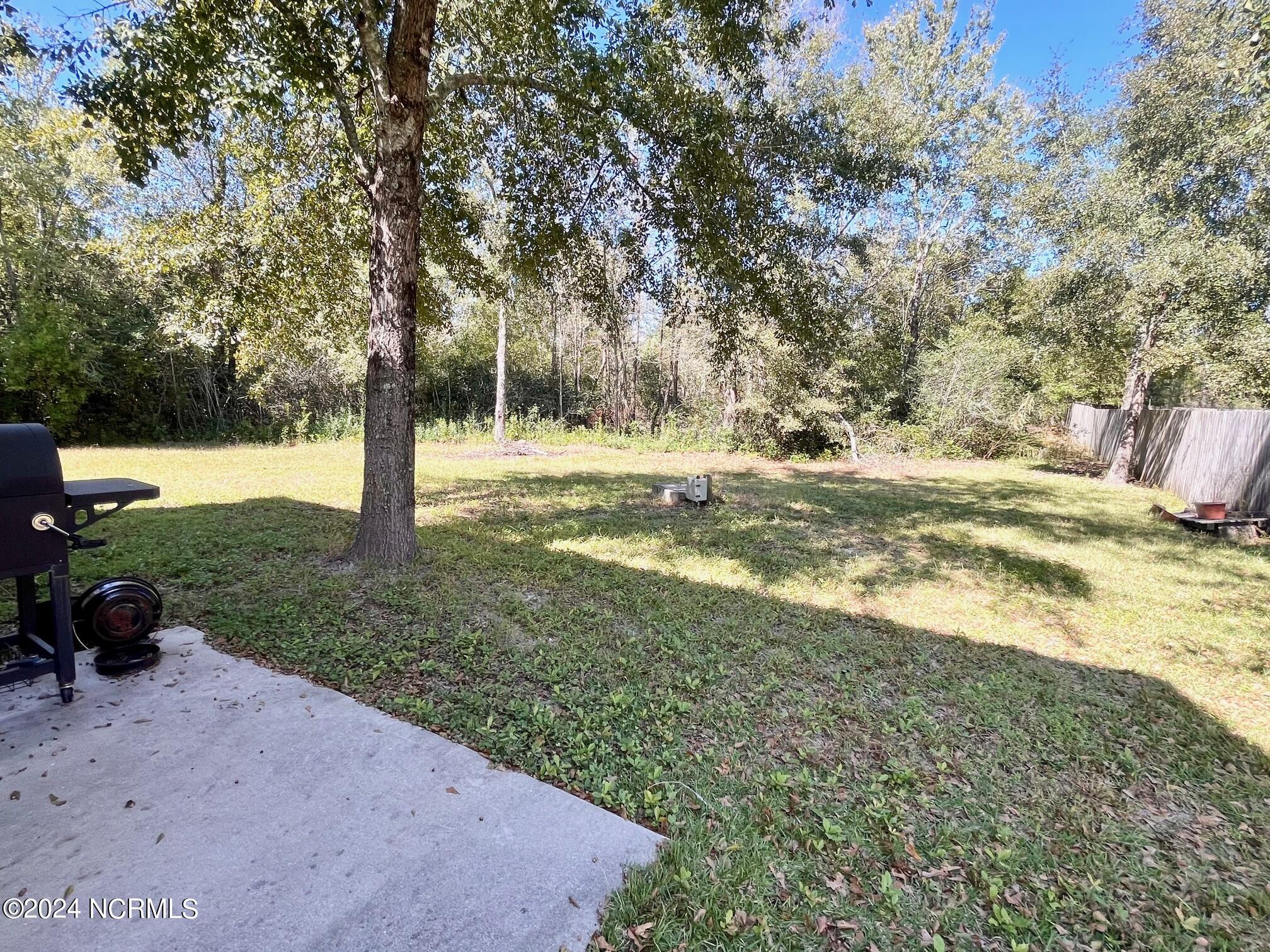 106 Blueberry Fields Road Maple Hill, NC 28454 - Photo 4 of 30 IMG_5945