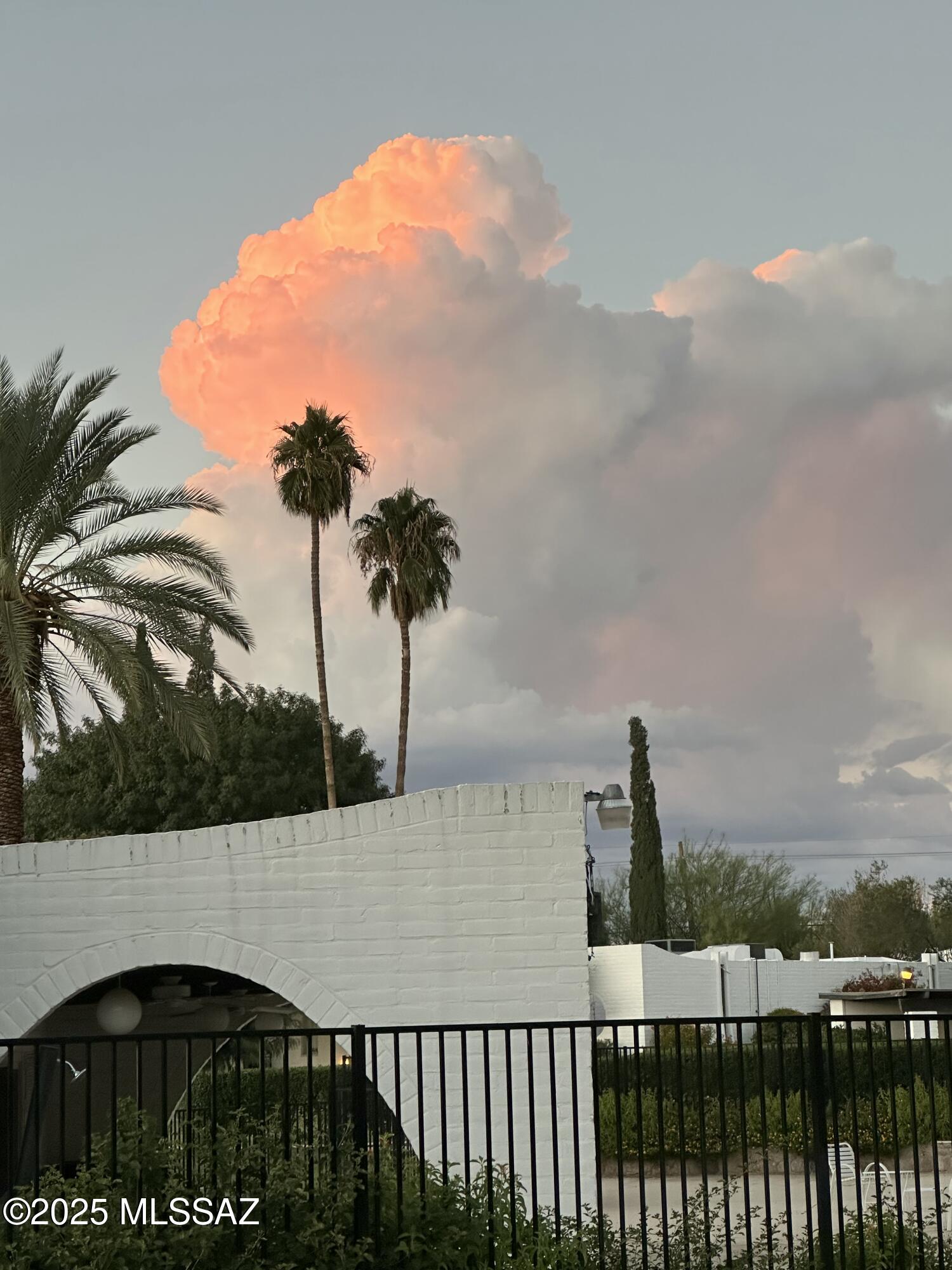 628 West Roller Coaster Road Tucson, AZ 85704 - Photo 25 of 37 Gallery Image 25
