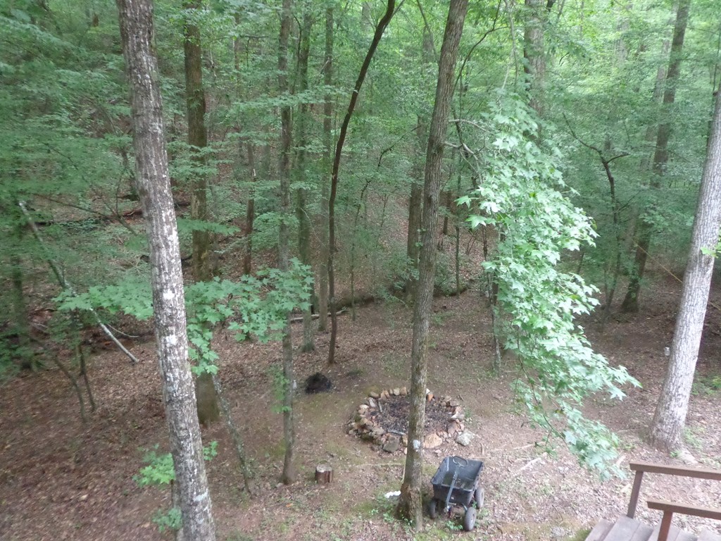 9547 Big Creek Road Ellijay, GA 30536 - Photo 24 of 81 Gallery Image 24