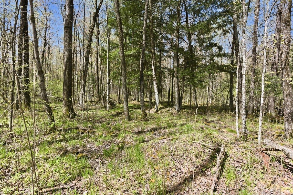 W585 Strucker Road Ogema, WI 54459 - Photo 21 of 55