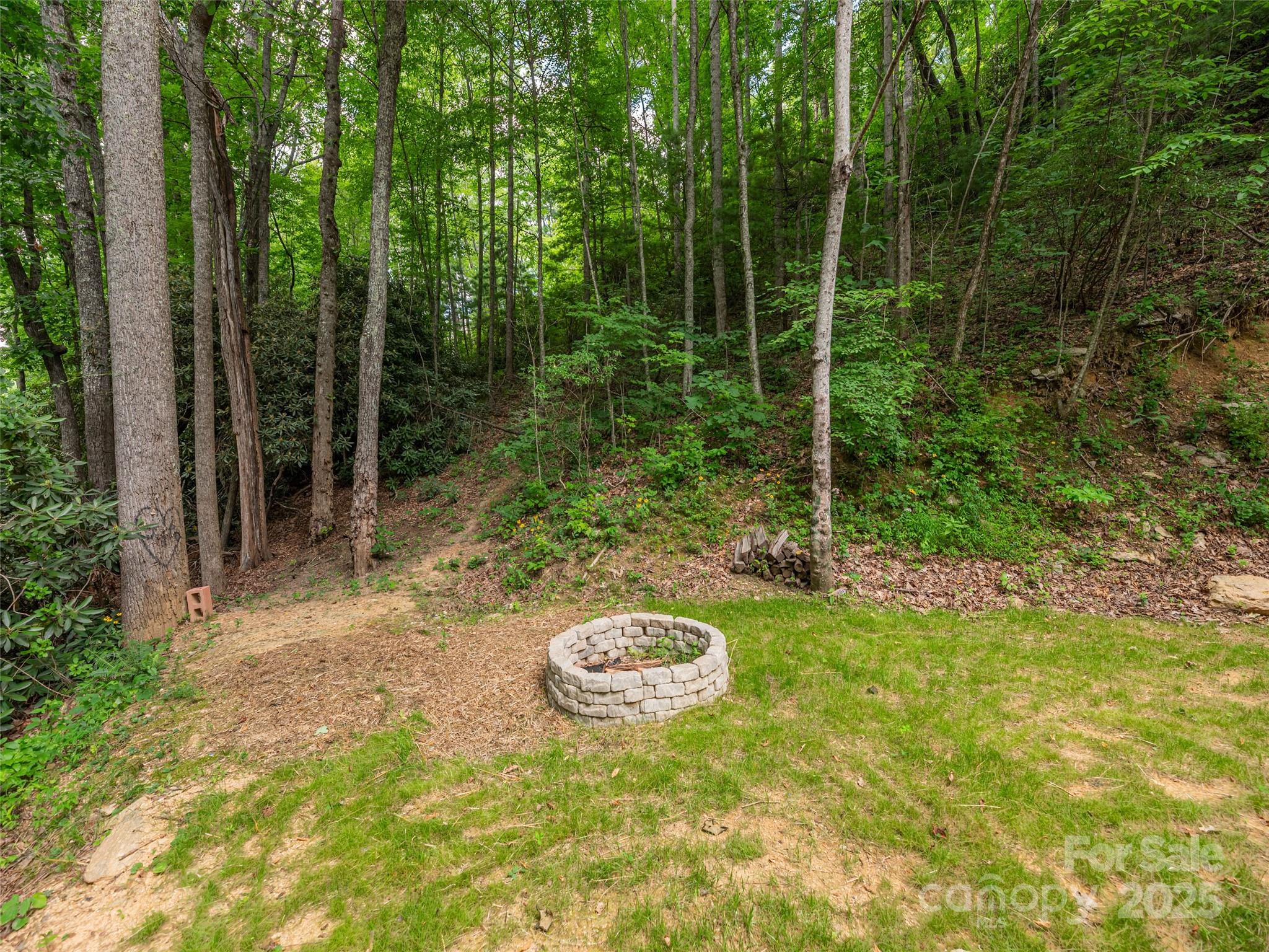 590 Hutch Mountain Road Fletcher, NC 28732 - Photo 20 of 22