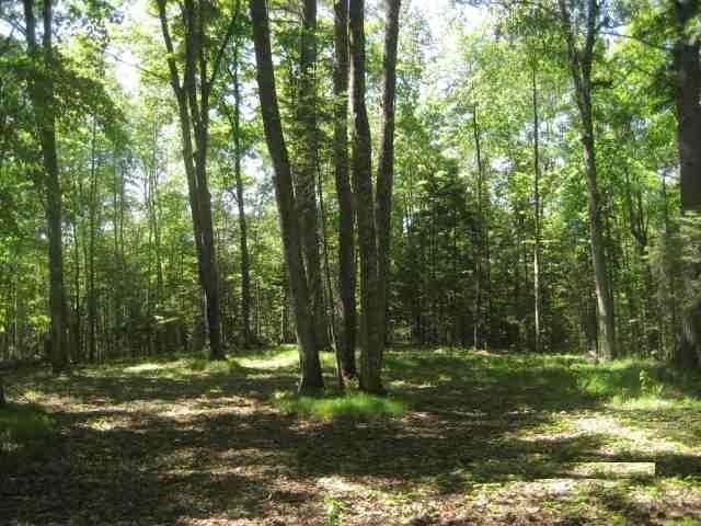 Off Martha Lake Road Mercer, WI 54547 - Photo 4 of 11 Gallery Image 4