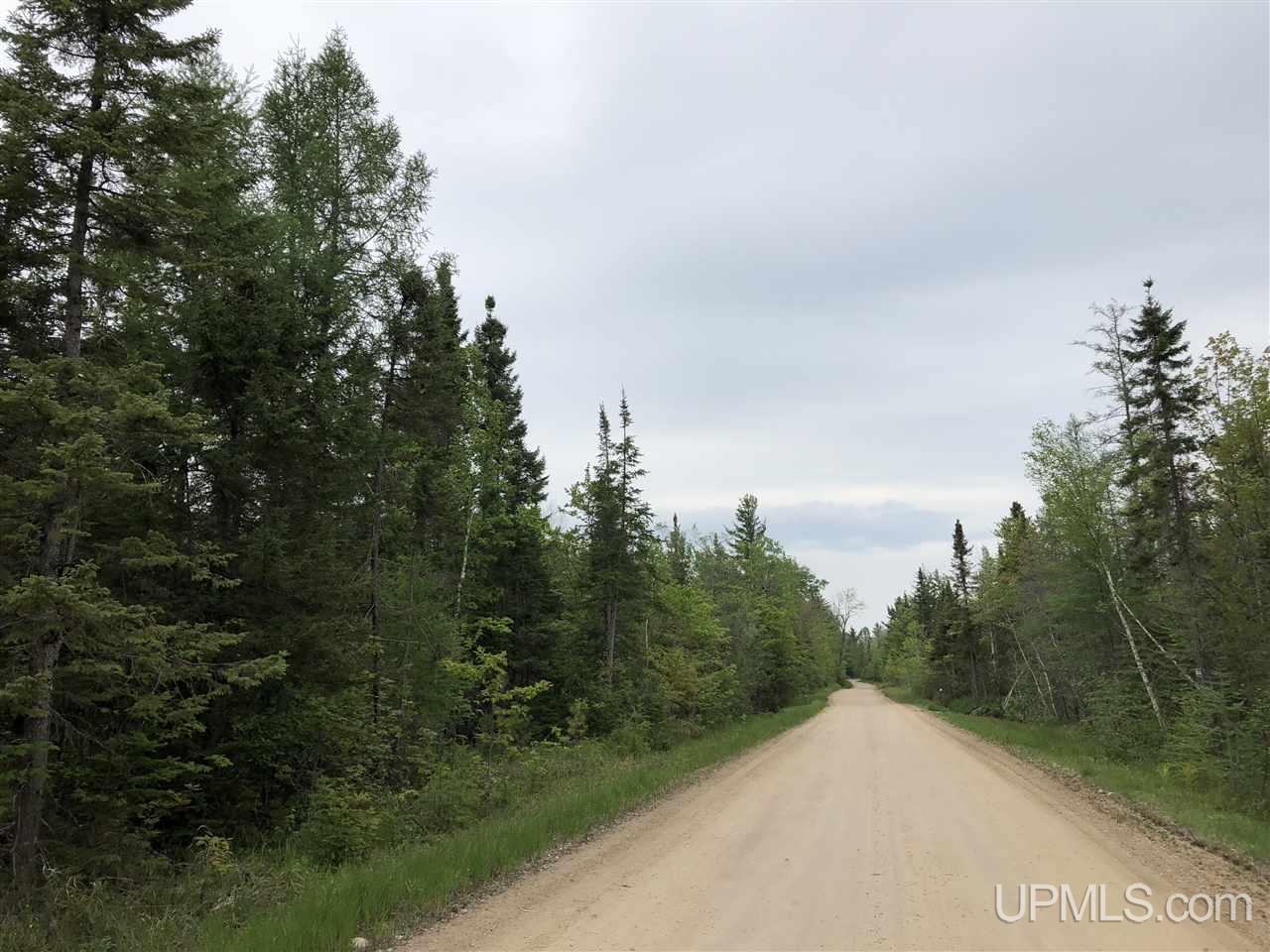 Tbd River Road, Unit PARCEL 3 Gulliver, MI 49854 - Photo 25 of 42