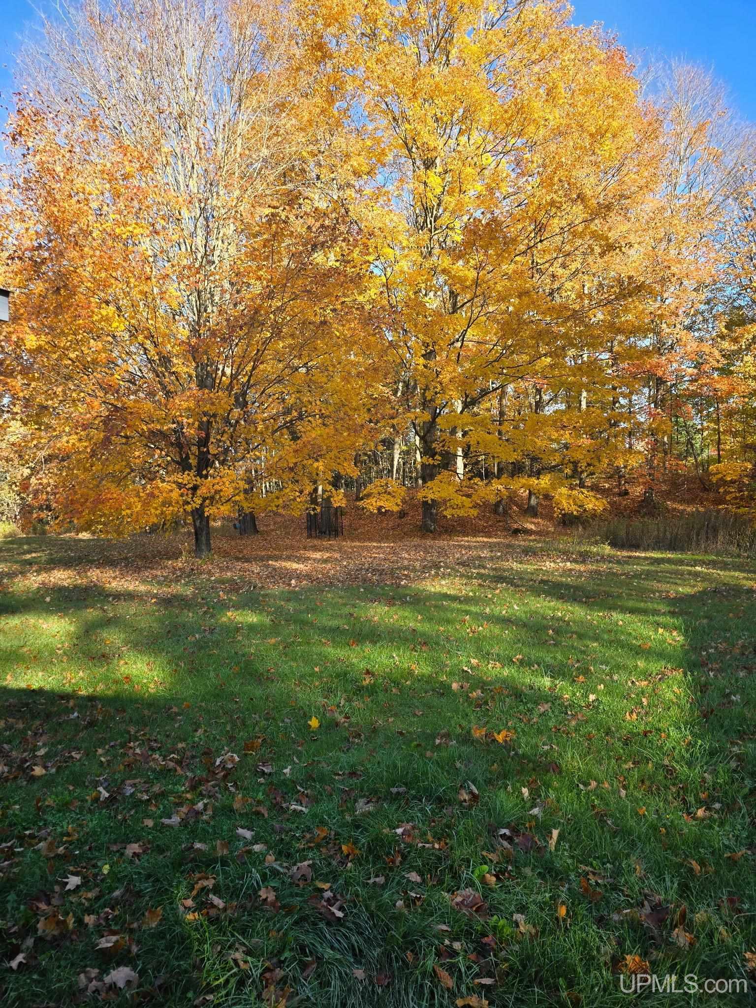 3712 East 26th Road Chatham, MI 49816 - Photo 14 of 49