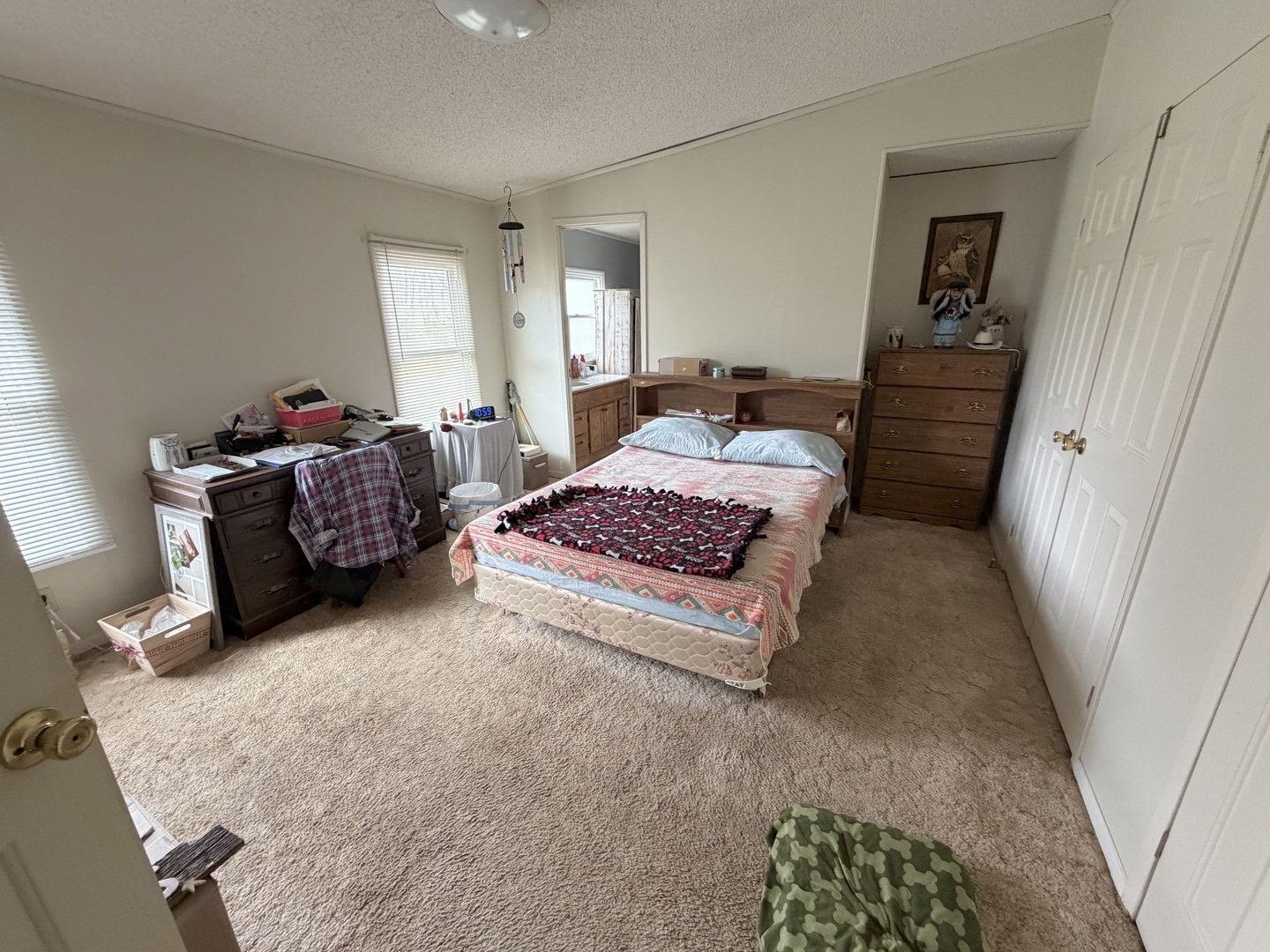 2041 Mills Cart Road Salem, IL 62881 - Photo 15 of 20