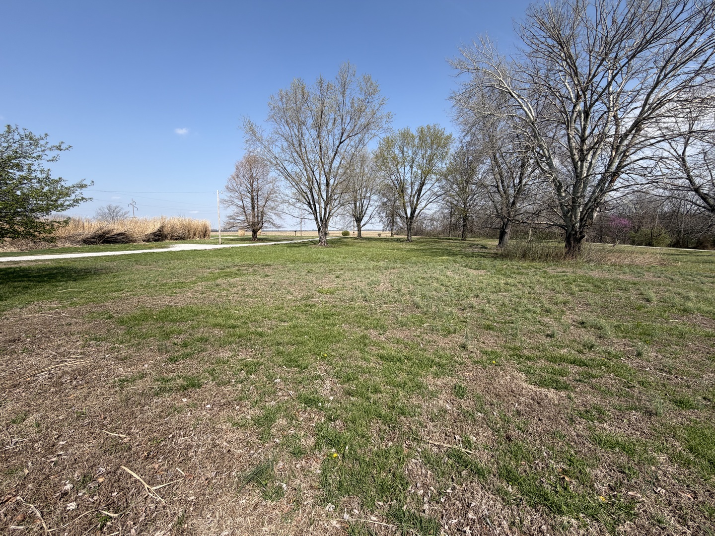 2041 Mills Cart Road Salem, IL 62881 - Photo 19 of 20