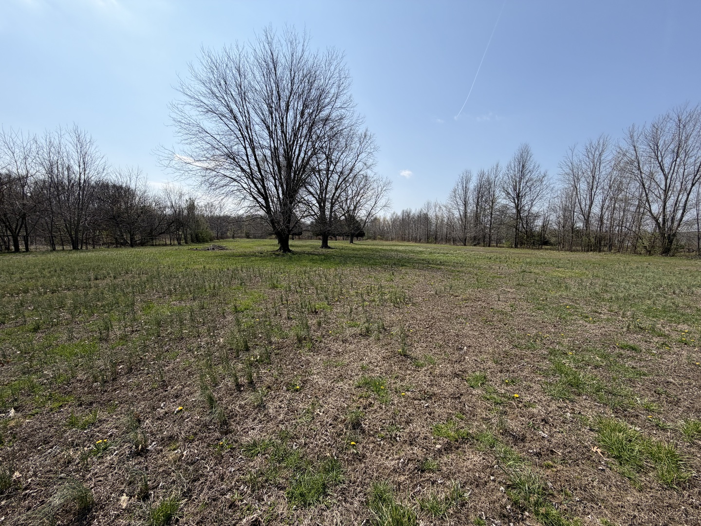 2041 Mills Cart Road Salem, IL 62881 - Photo 20 of 20