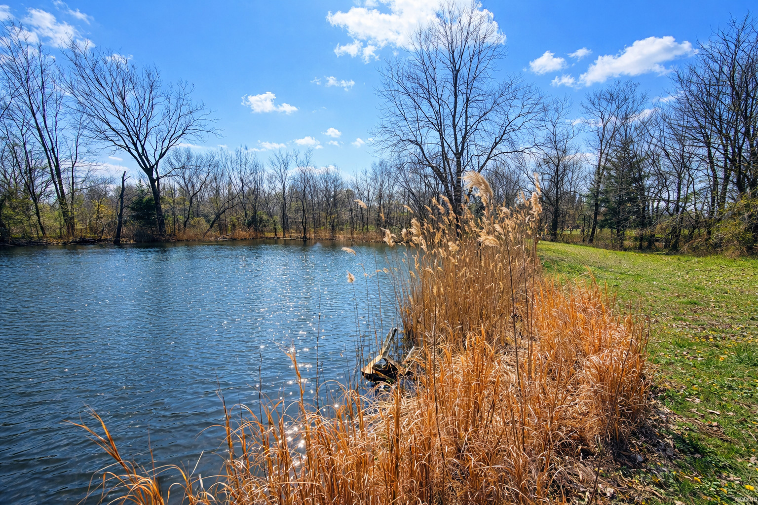 2041 Mills Cart Road Salem, IL 62881 - Photo 3 of 20