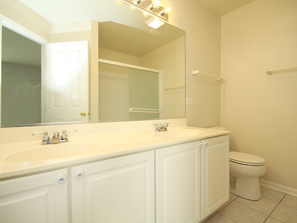 3384 Ravinia Circle Aurora, IL 60504 - Photo 12 of 24 a bathroom with a sink and a mirror