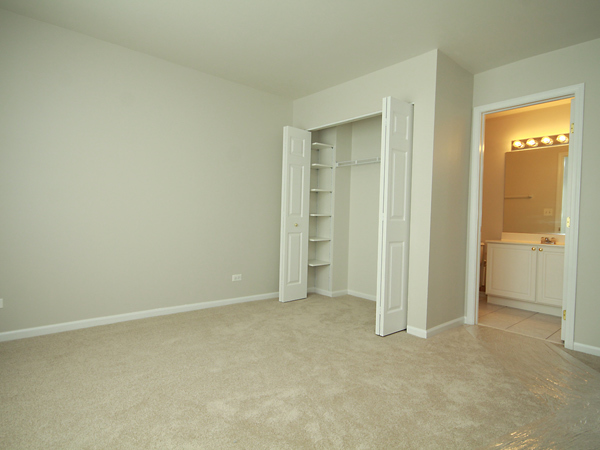 3384 Ravinia Circle Aurora, IL 60504 - Photo 18 of 24 an empty room with windows and closet