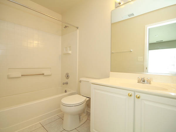 3384 Ravinia Circle Aurora, IL 60504 - Photo 10 of 24 a bathroom with a sink a toilet and shower
