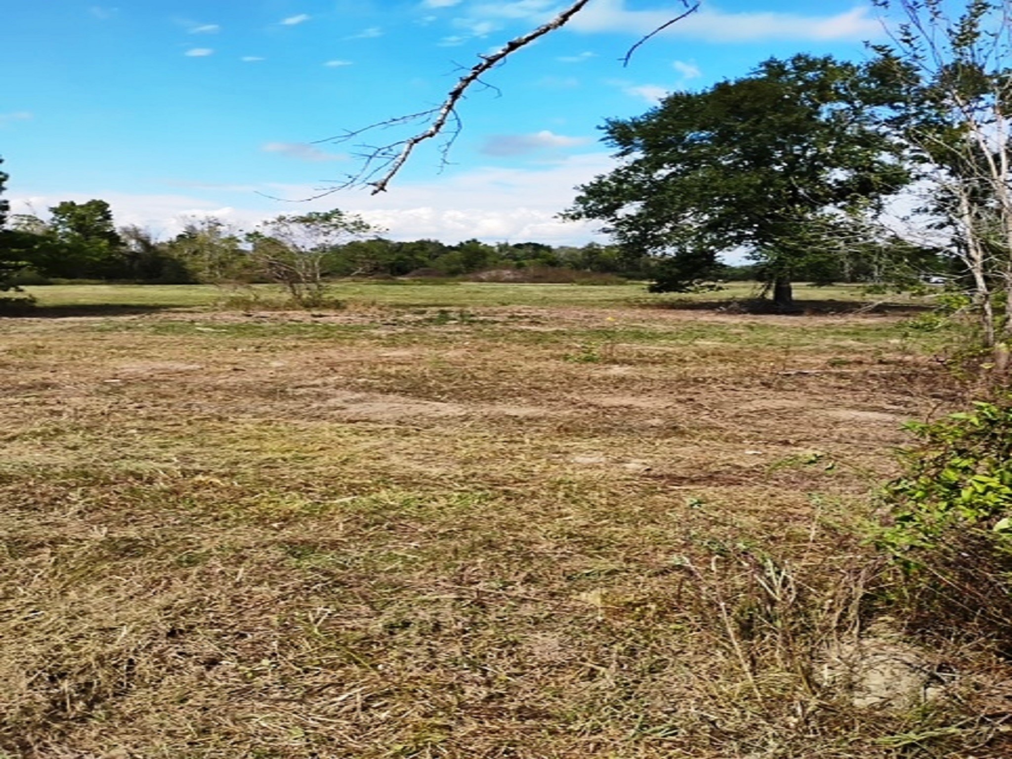 3607 12th Street Brookshire, TX 77423 - Photo 1 of 27 a view of a lake view