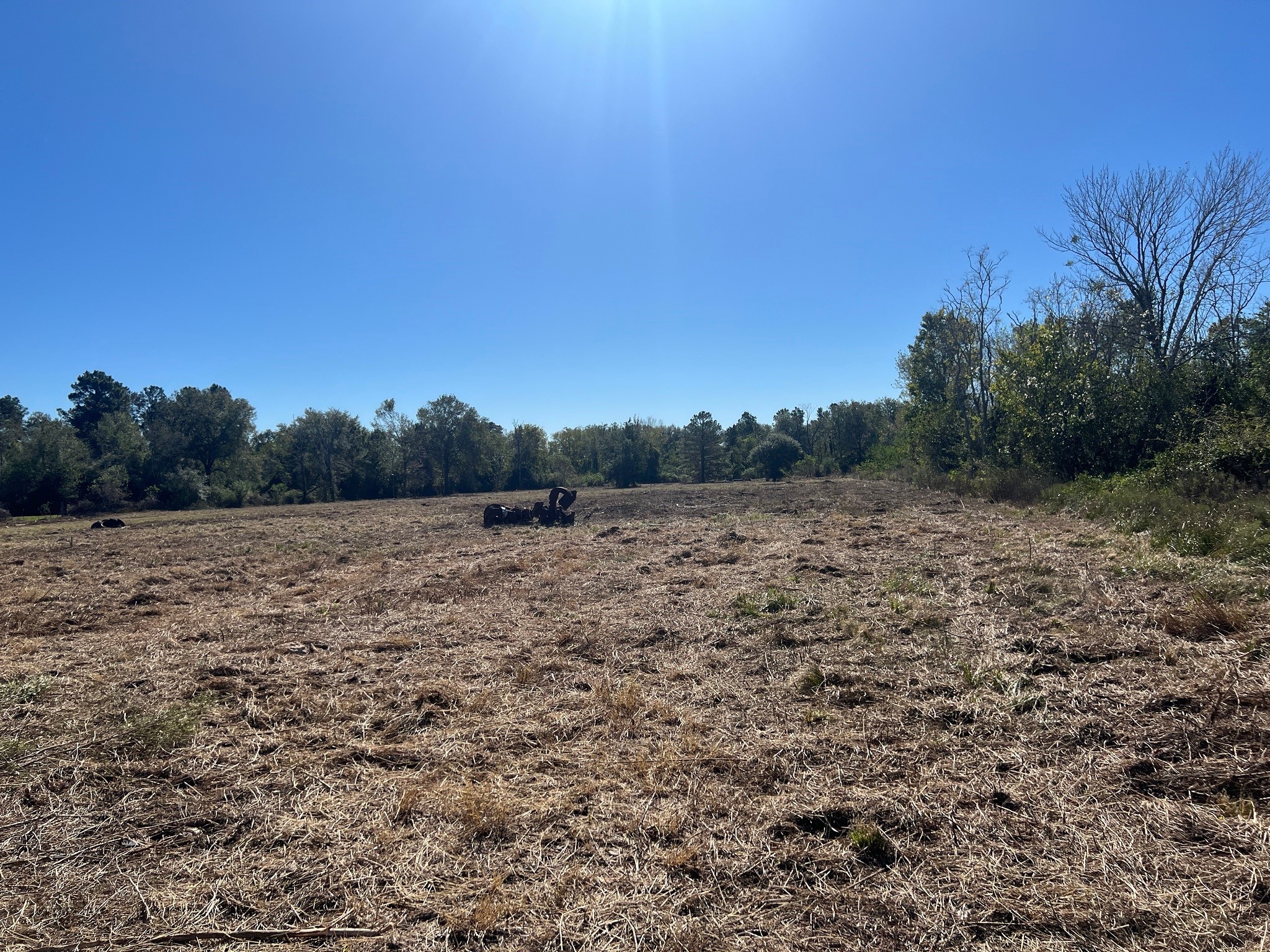 3607 12th Street Brookshire, TX 77423 - Photo 12 of 27 a view of a field with trees in background