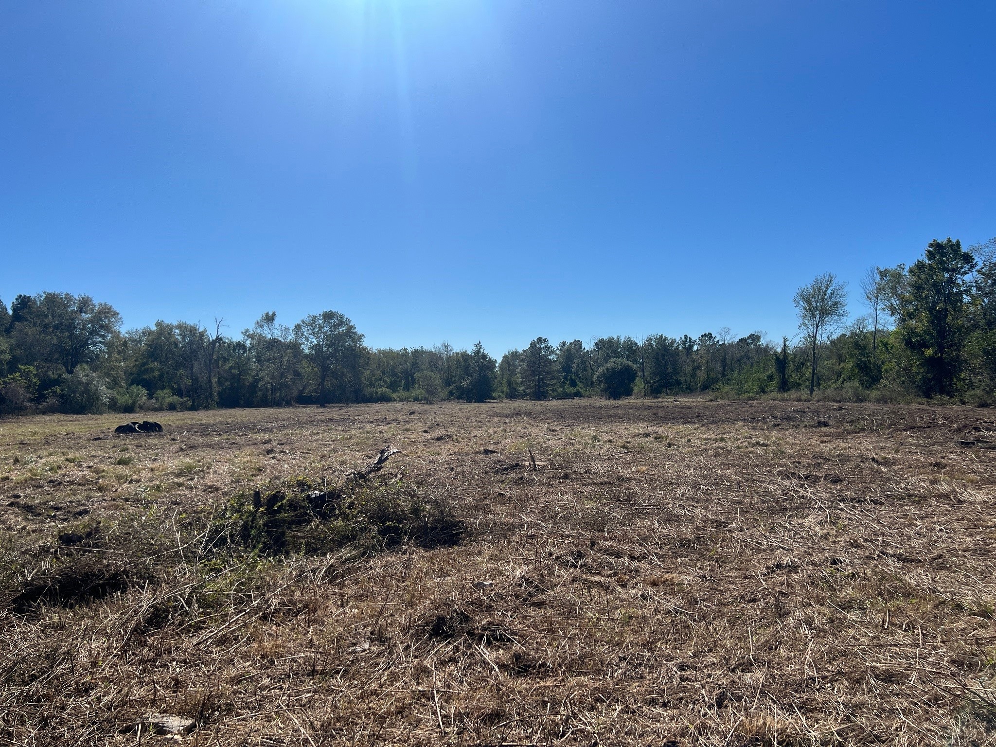 3607 12th Street Brookshire, TX 77423 - Photo 14 of 27 a view of an outdoor space and a yard
