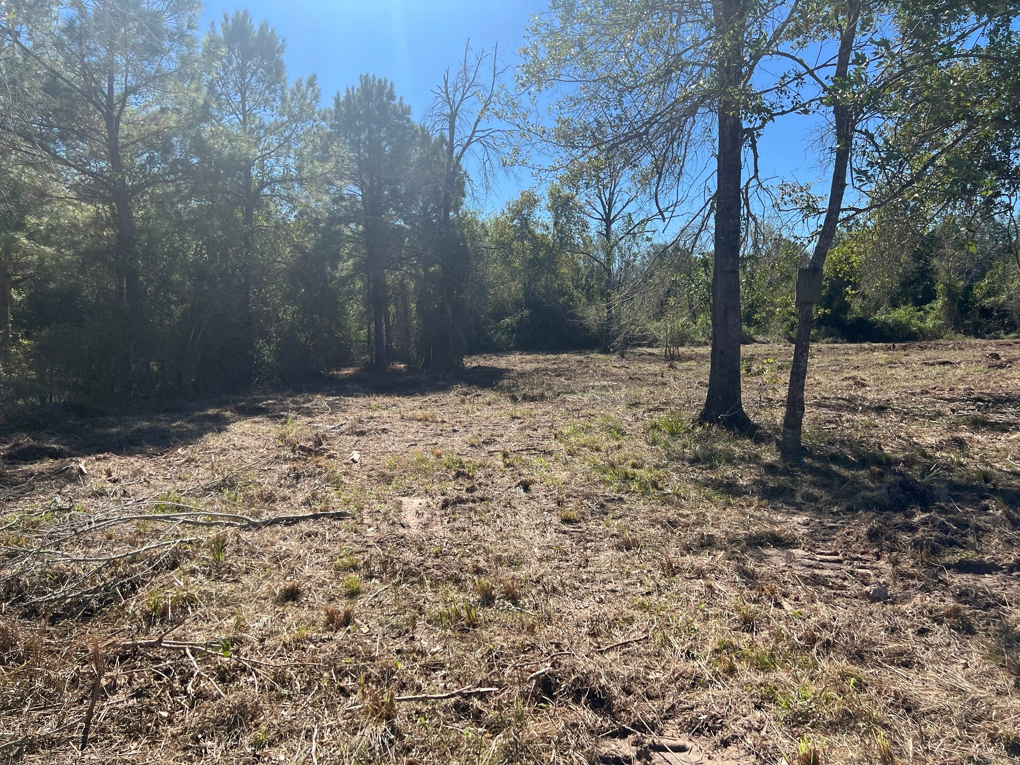 3607 12th Street Brookshire, TX 77423 - Photo 16 of 27 a view of empty room