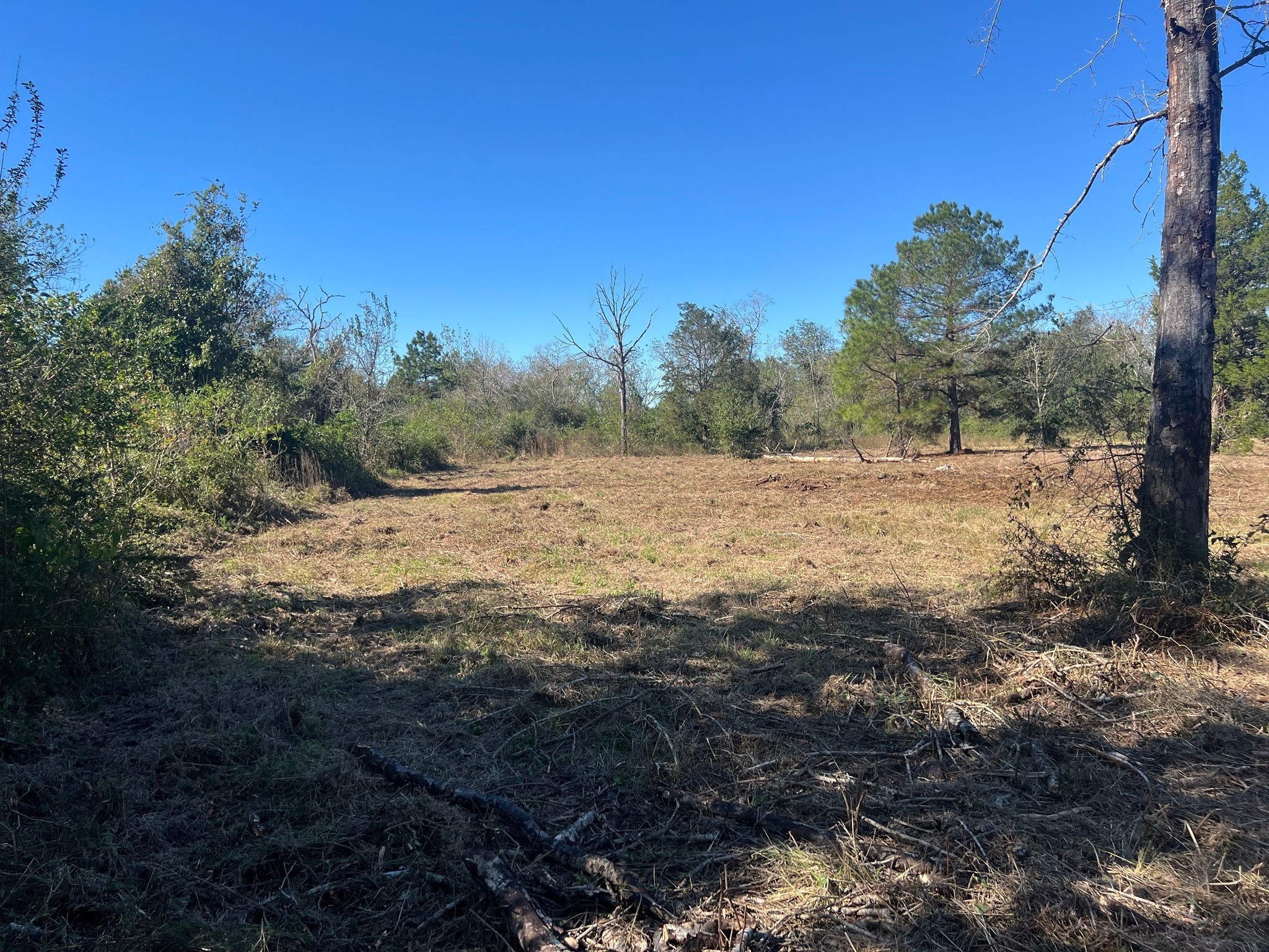 3607 12th Street Brookshire, TX 77423 - Photo 18 of 27 a view of ocean view with beach