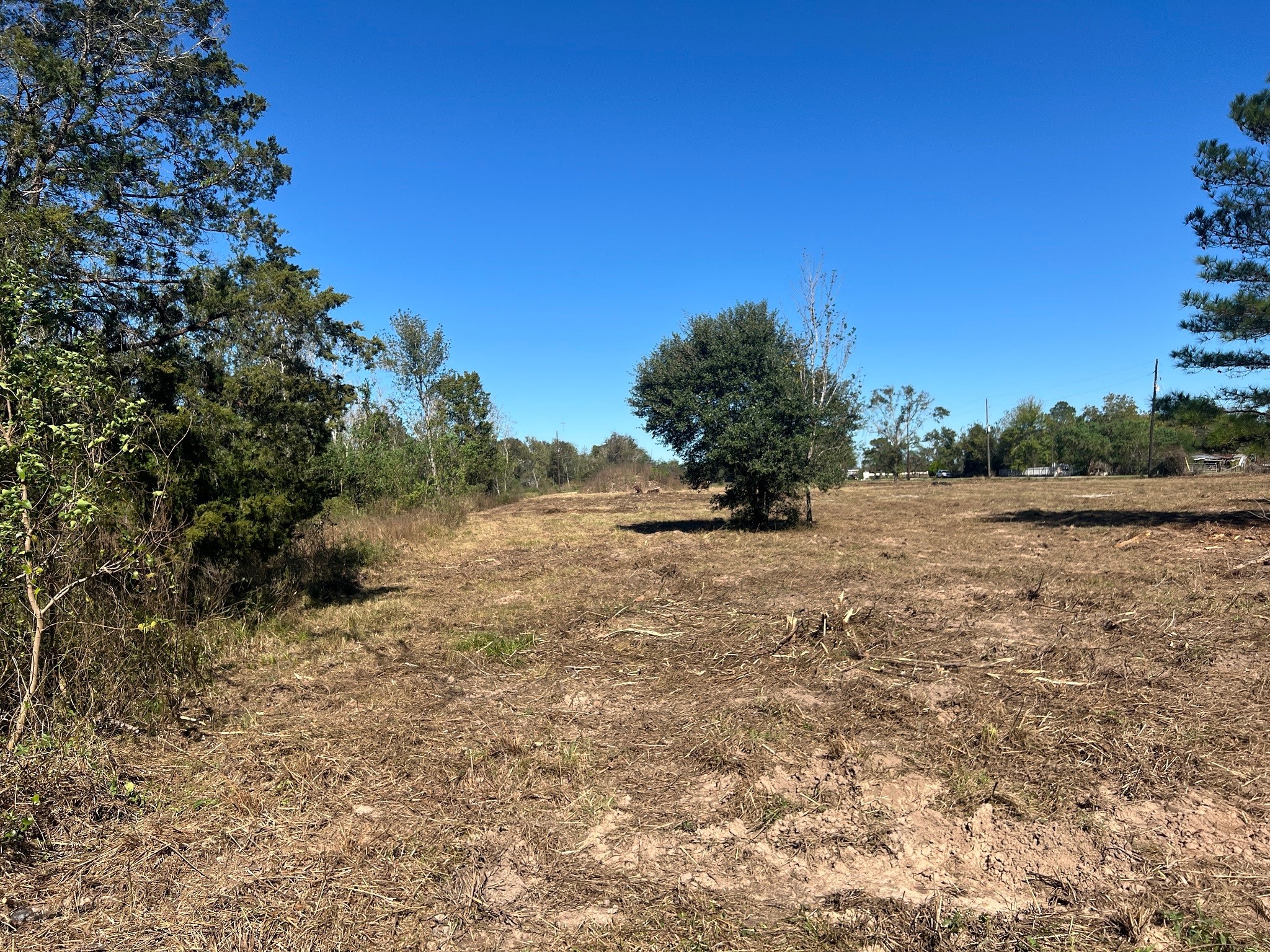 3607 12th Street Brookshire, TX 77423 - Photo 19 of 27 a view of mountain view with large trees