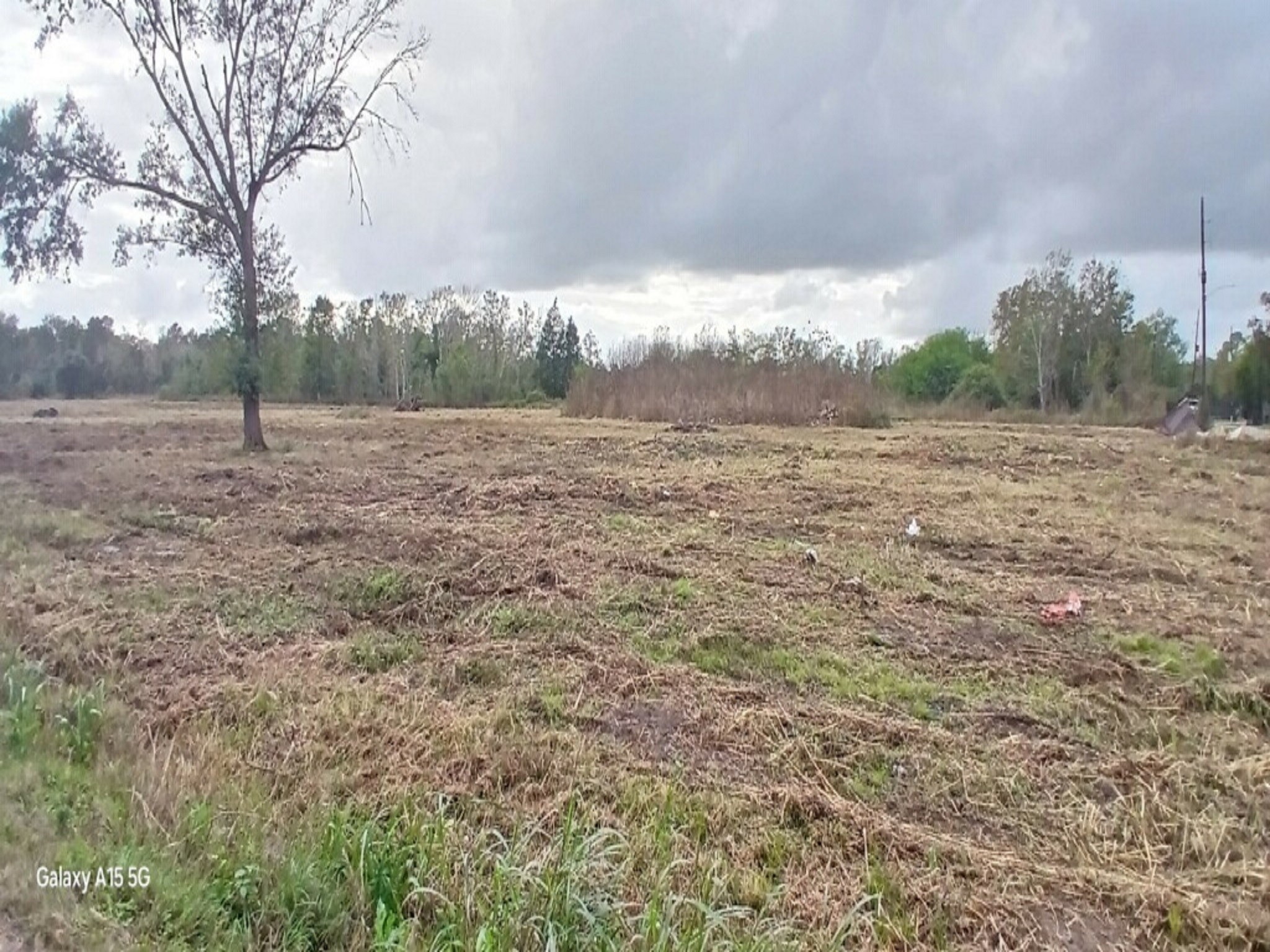 3607 12th Street Brookshire, TX 77423 - Photo 23 of 27 a view of a yard and mountain view