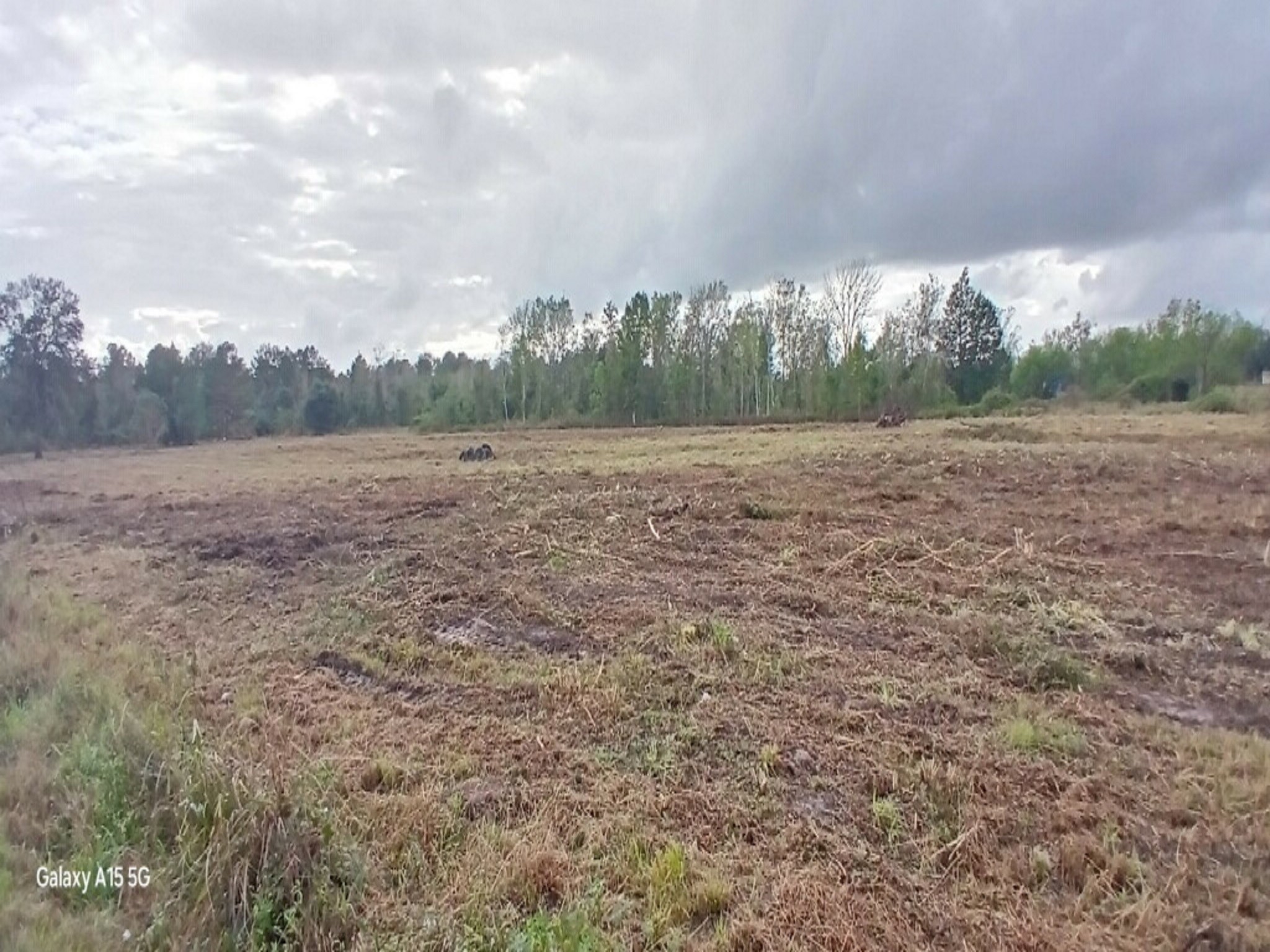 3607 12th Street Brookshire, TX 77423 - Photo 24 of 27 a view of dirt field and trees