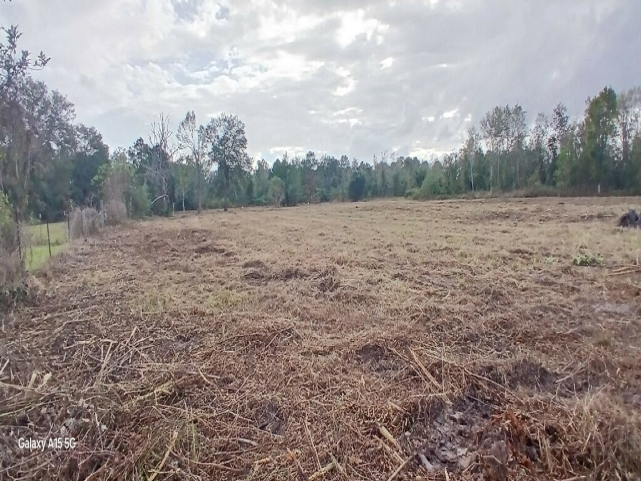 3607 12th Street Brookshire, TX 77423 - Photo 27 of 27 a view of an outdoor space and a yard