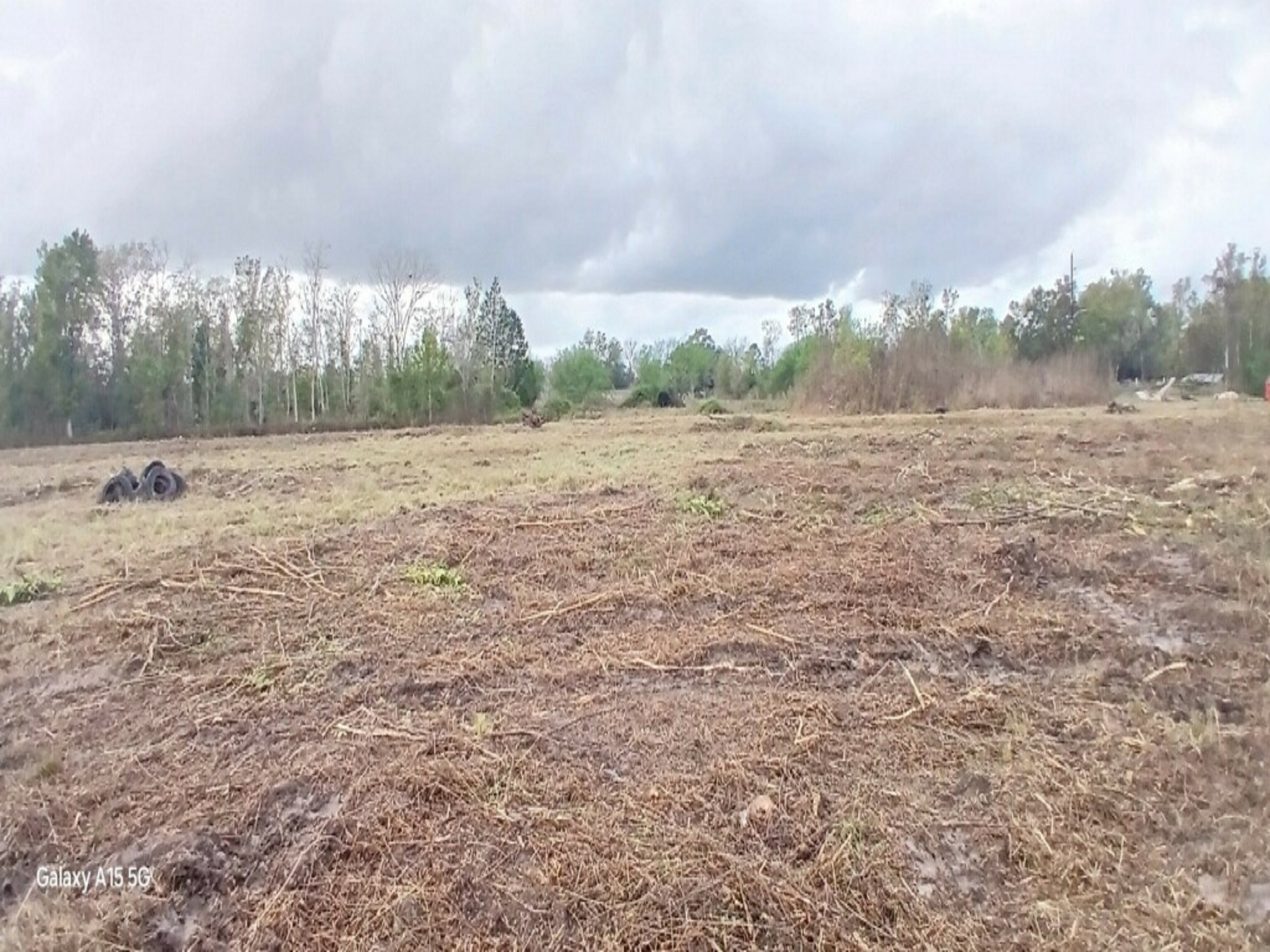3607 12th Street Brookshire, TX 77423 - Photo 7 of 27 a view of a field with trees in the background