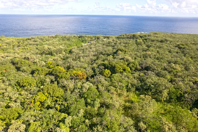 $435,000 | 2 Government Beach Road, Pahoa, HI 96778