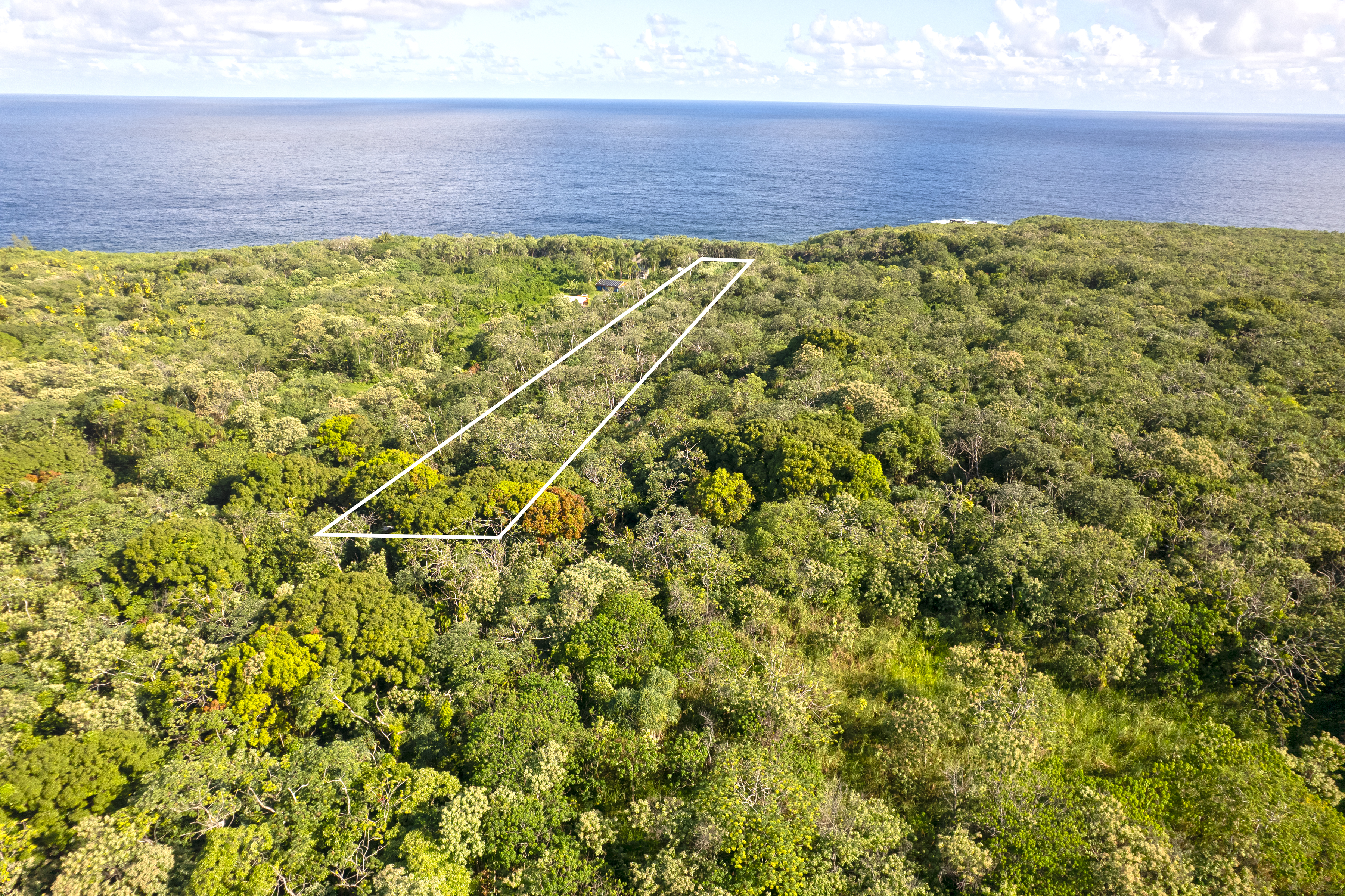 2 Government Beach Road Pahoa, HI 96778 - Photo 12 of 14 a view of a bunch of plants and trees