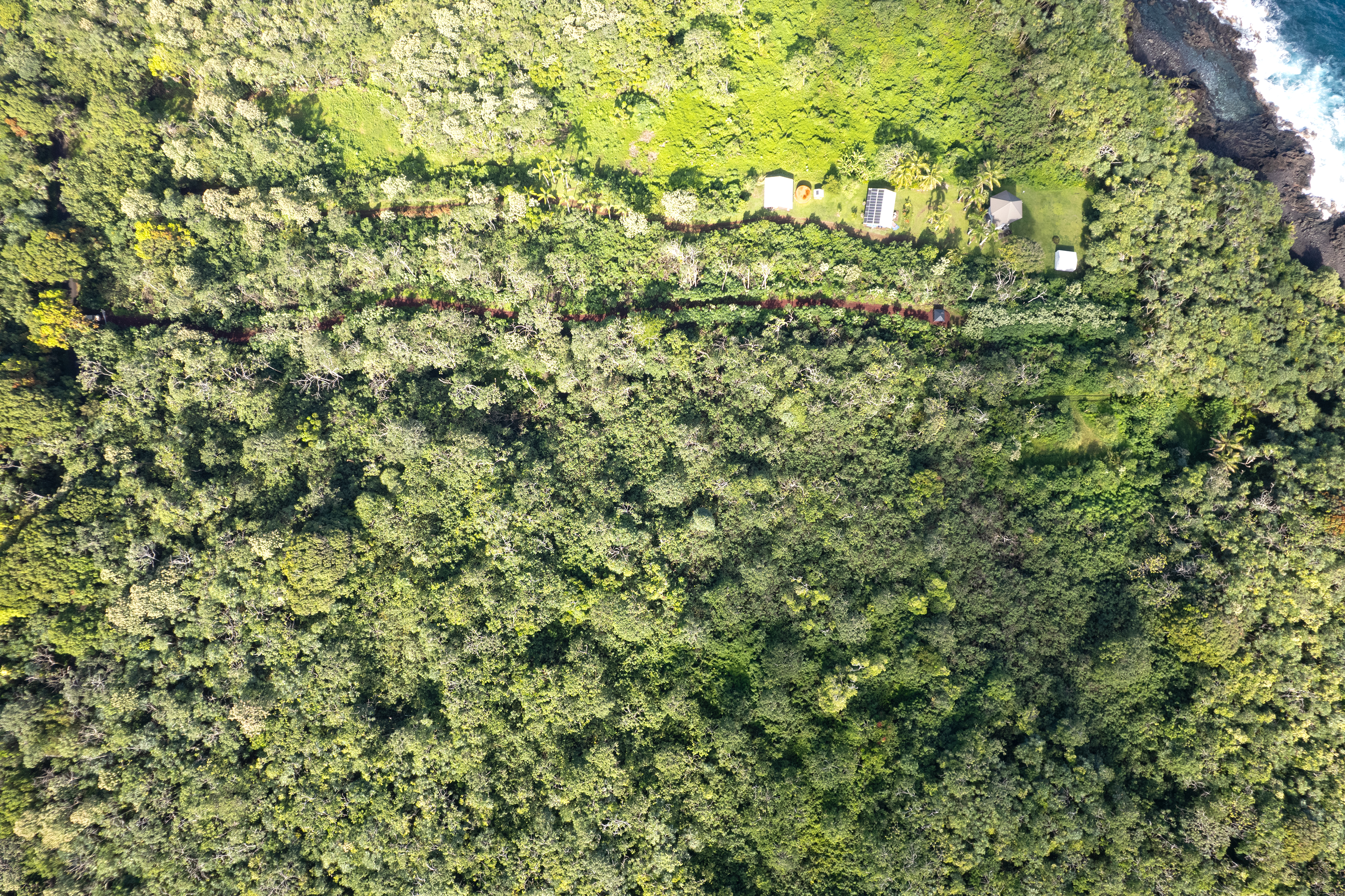 2 Government Beach Road Pahoa, HI 96778 - Photo 13 of 14 a view of a lush green field