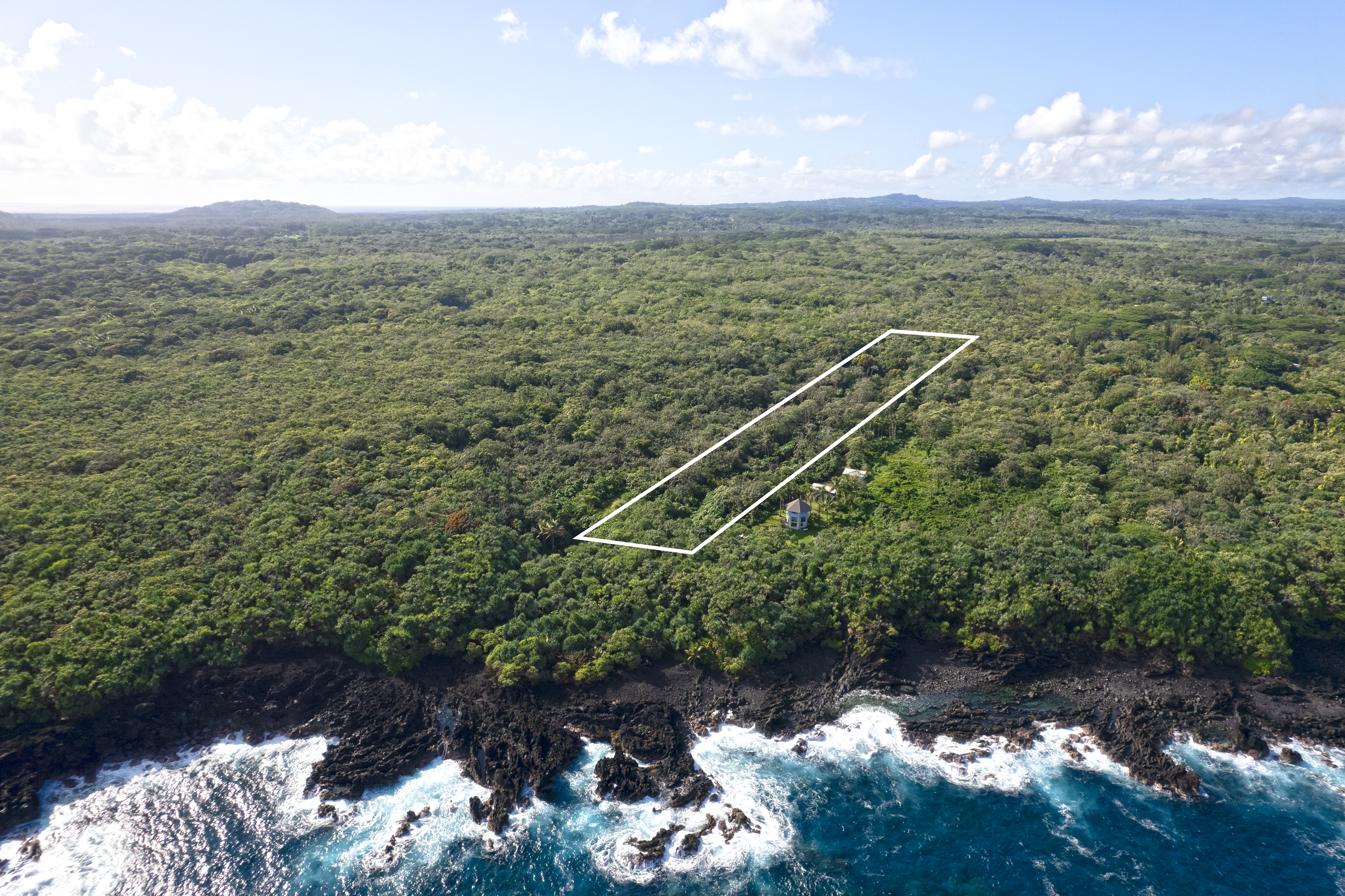 2 Government Beach Road Pahoa, HI 96778 - Photo 2 of 14 a view of a forest with a yard