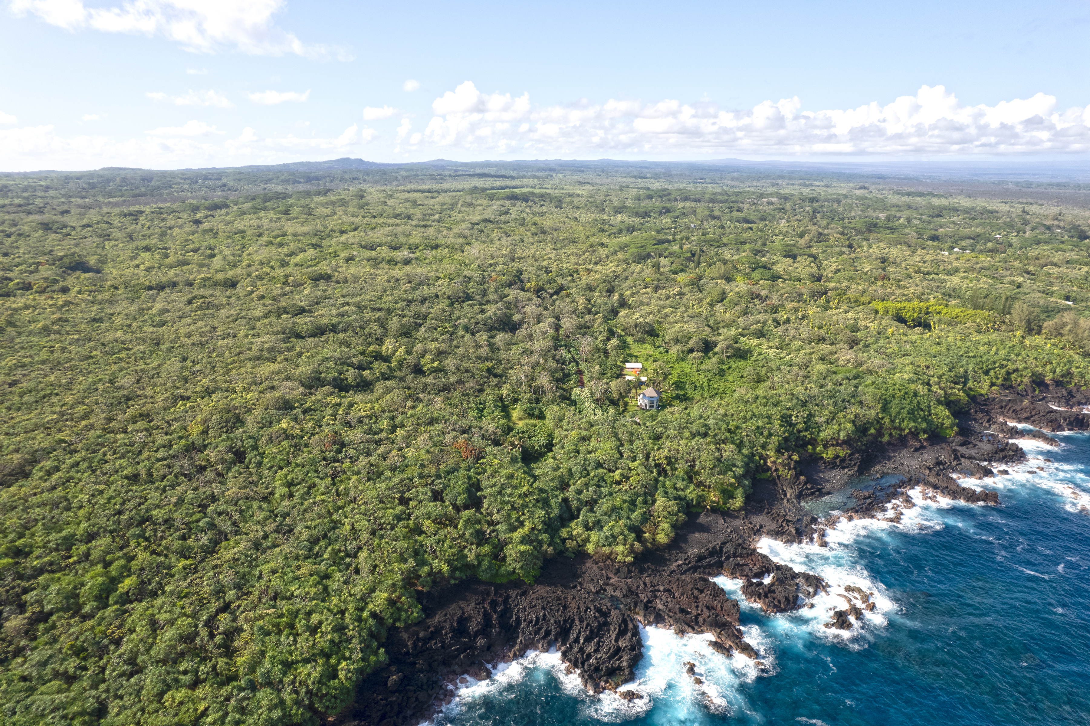 2 Government Beach Road Pahoa, HI 96778 - Photo 5 of 14 a view of a yard