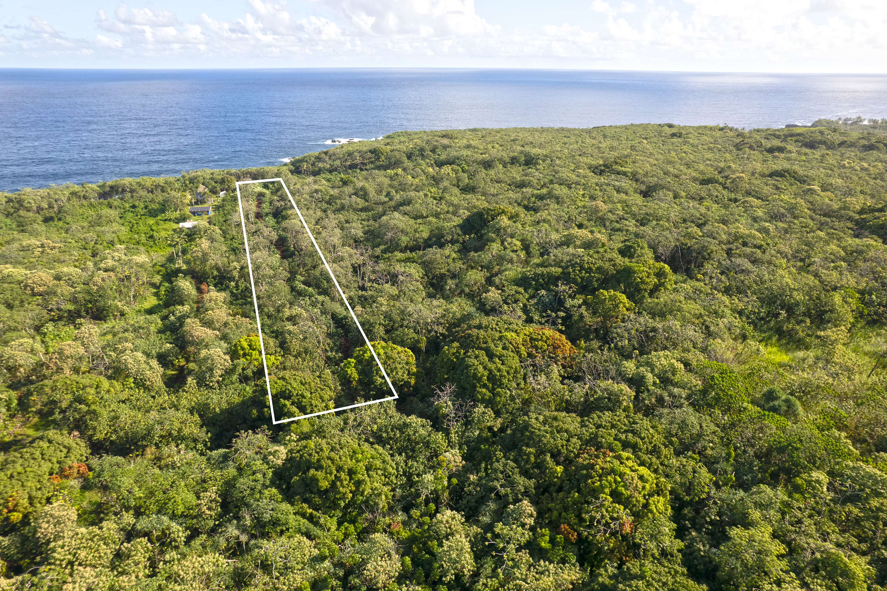2 Government Beach Road Pahoa, HI 96778 - Photo 10 of 14 a view of a yard