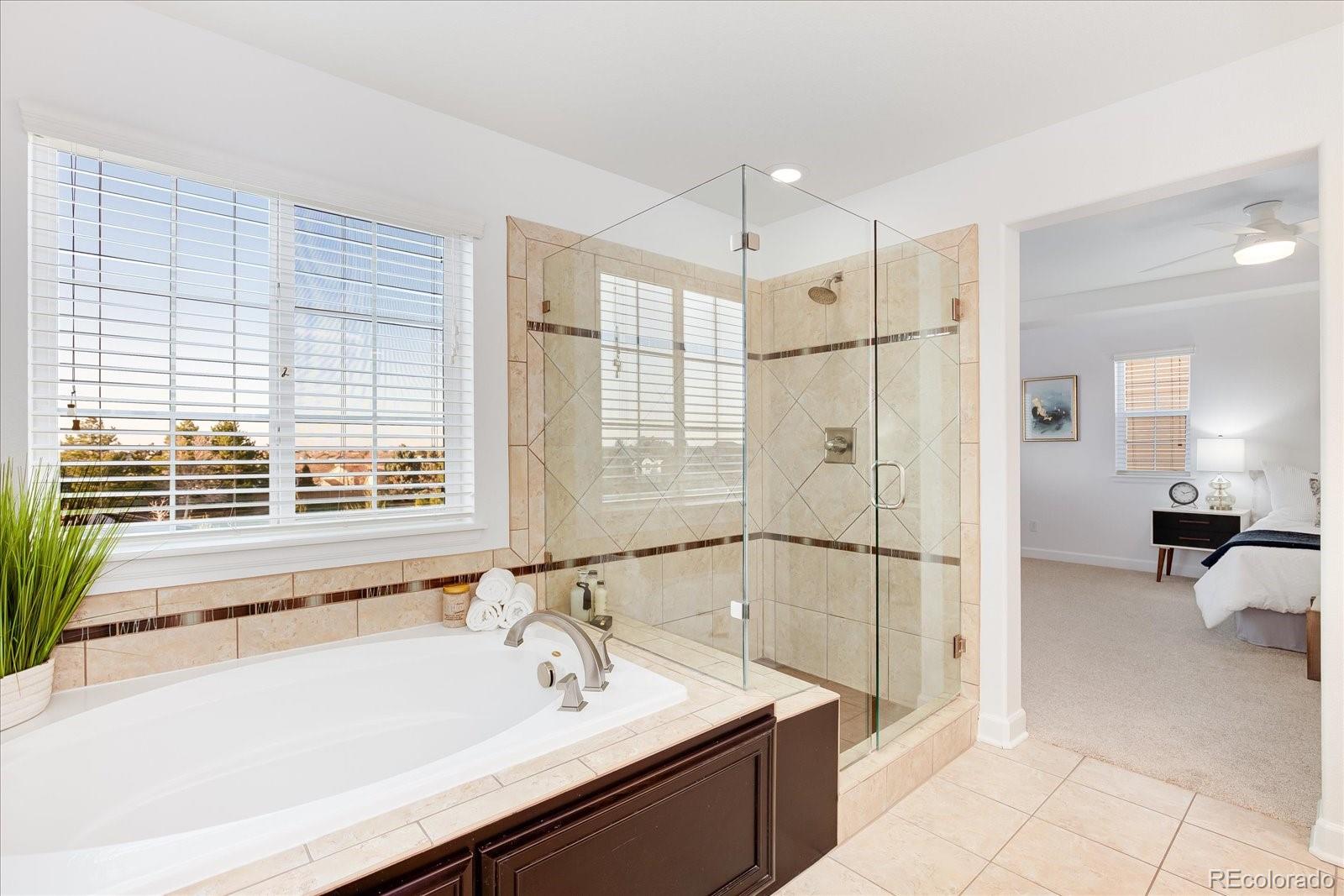 703 Tiger Lily Way Highlands Ranch, CO 80126 - Photo 16 of 40