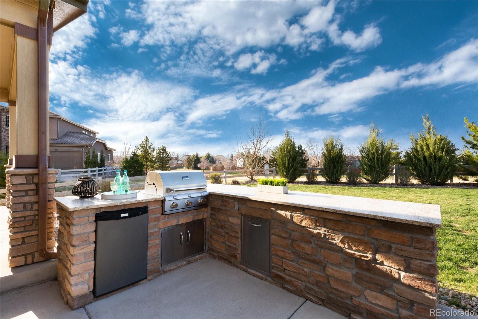 703 Tiger Lily Way Highlands Ranch, CO 80126 - Photo 25 of 40