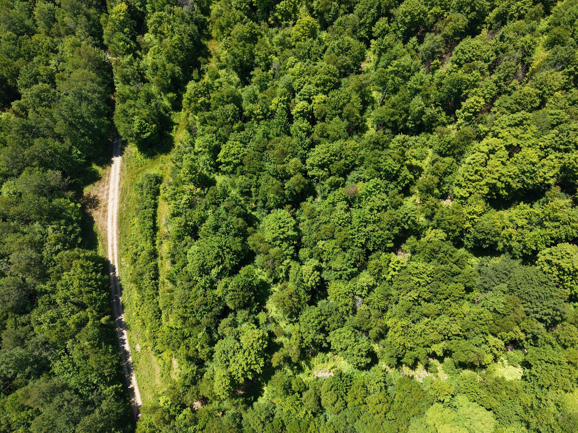 Mso3-l16 Flow Road New Portland, ME 04961 - Photo 19 of 30 DJI_20260712131354_0013_D