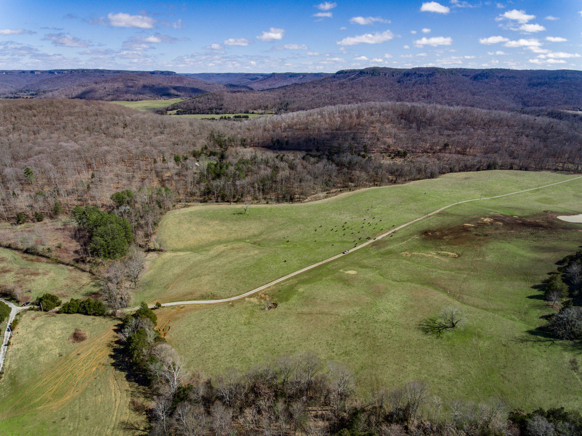 Bob Upchurch Road Pall Mall, TN 38577 - Photo 1 of 14 Aerials-1