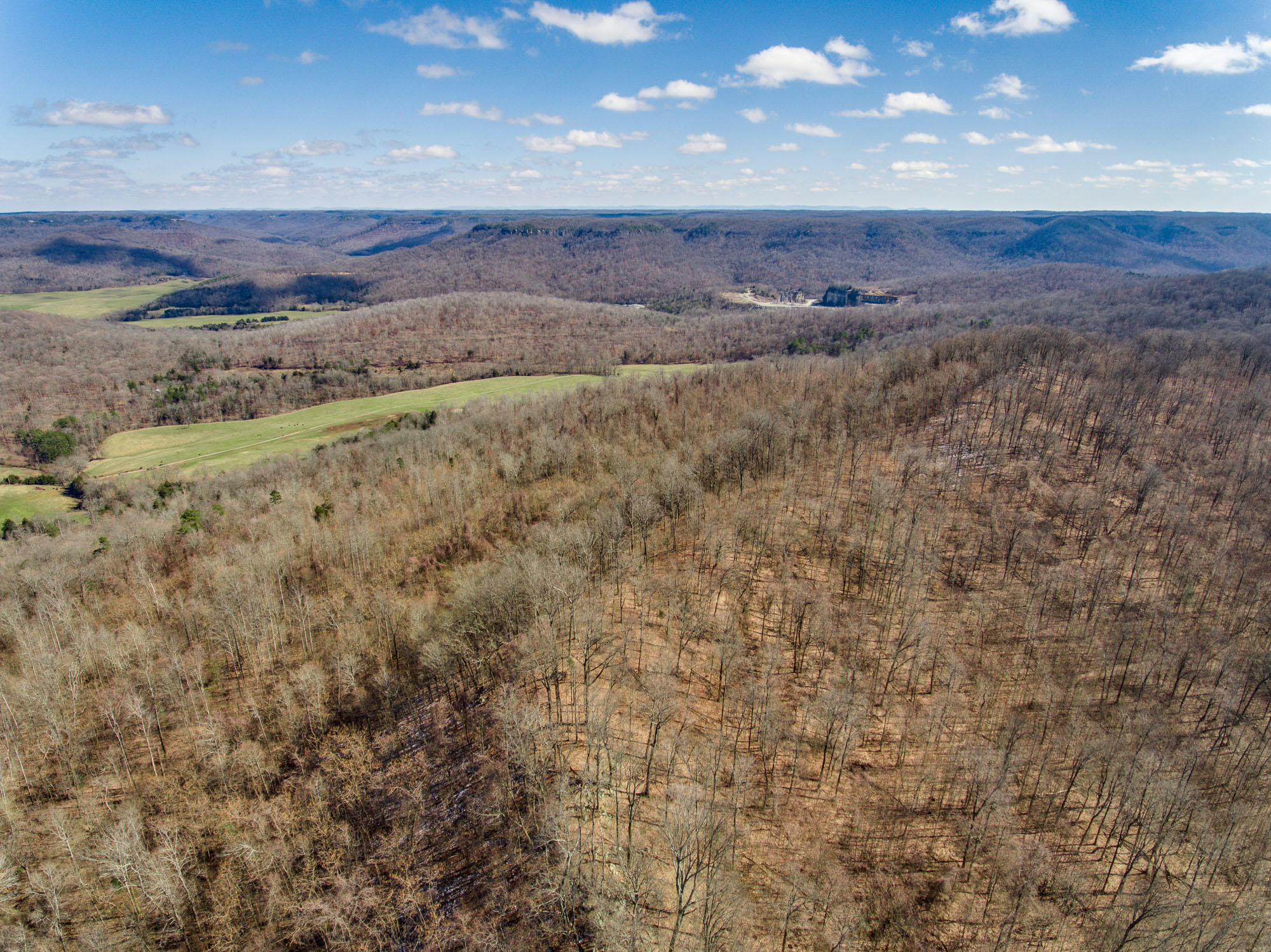 Bob Upchurch Road Pall Mall, TN 38577 - Photo 4 of 14 Aerials-3