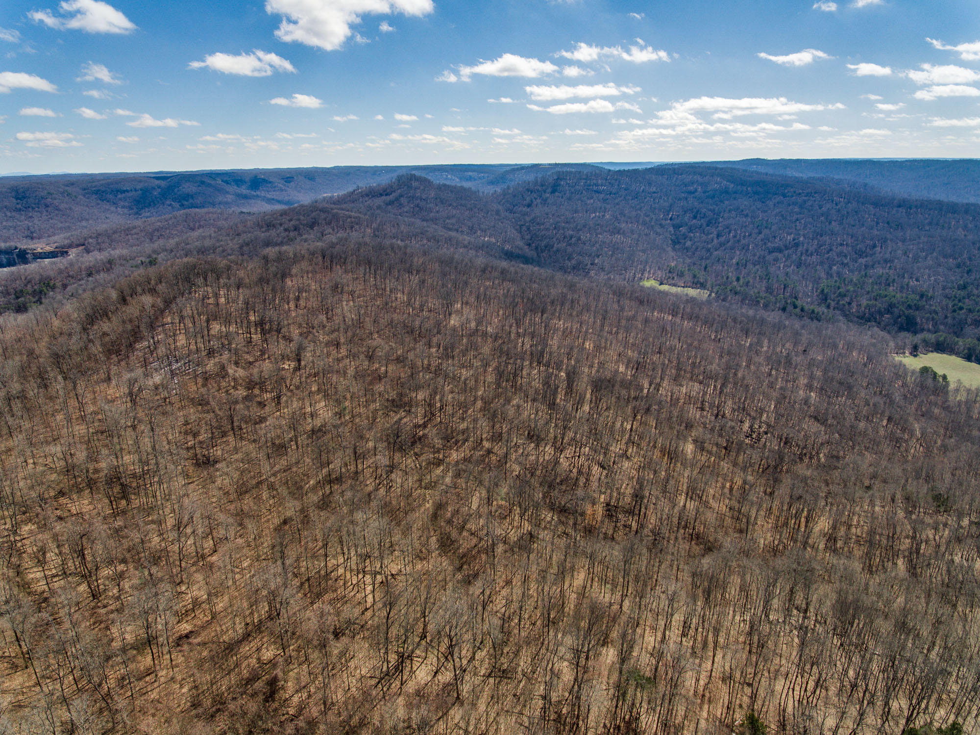 Bob Upchurch Road Pall Mall, TN 38577 - Photo 5 of 14 Aerials-4
