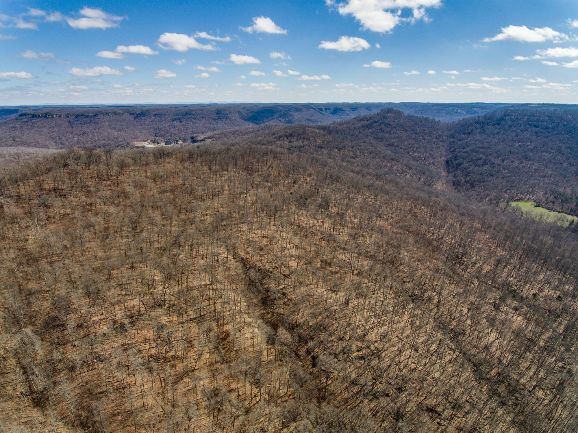 Bob Upchurch Road Pall Mall, TN 38577 - Photo 6 of 14 Aerials-5
