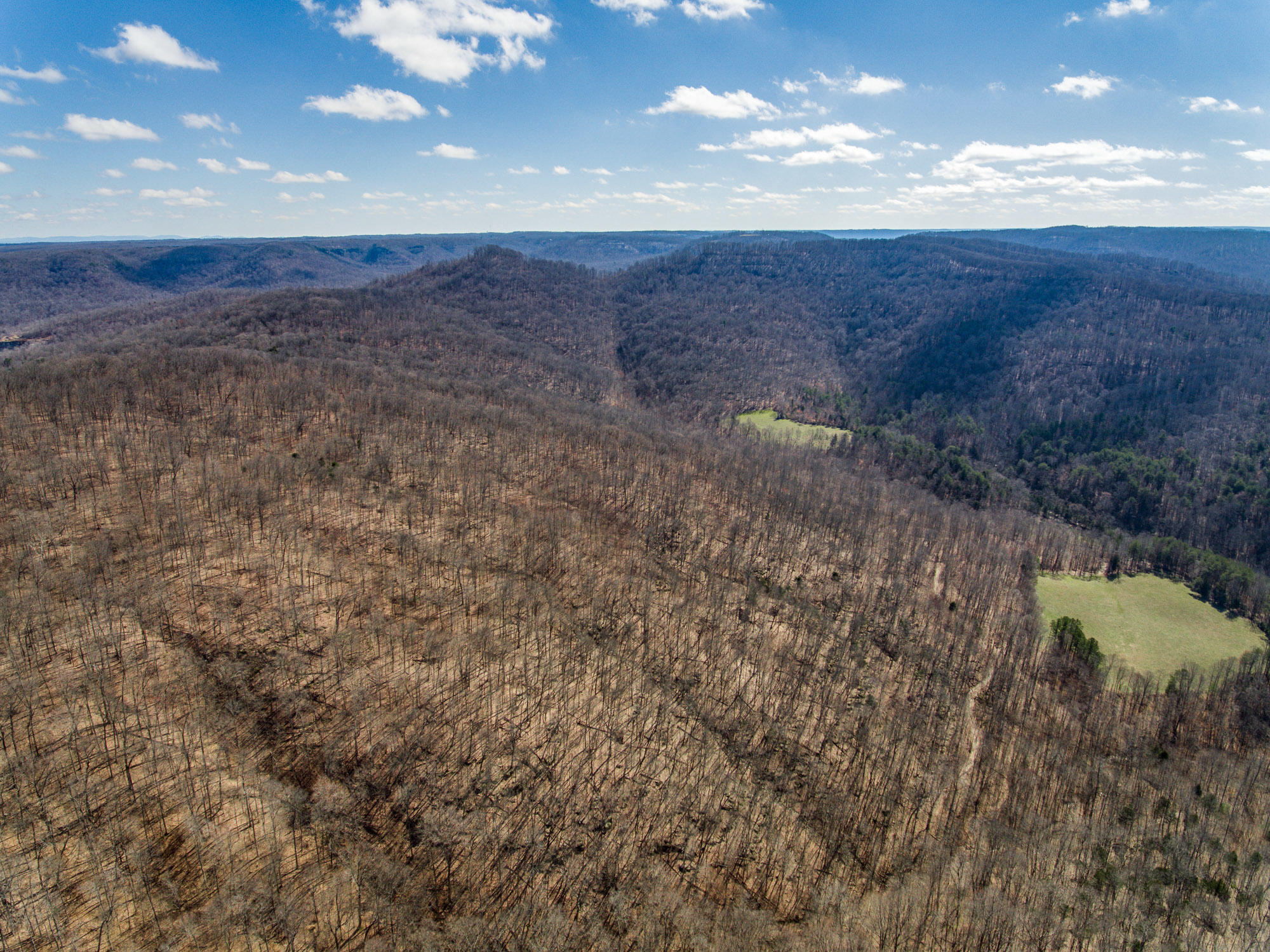 Bob Upchurch Road Pall Mall, TN 38577 - Photo 7 of 14 Aerials-6