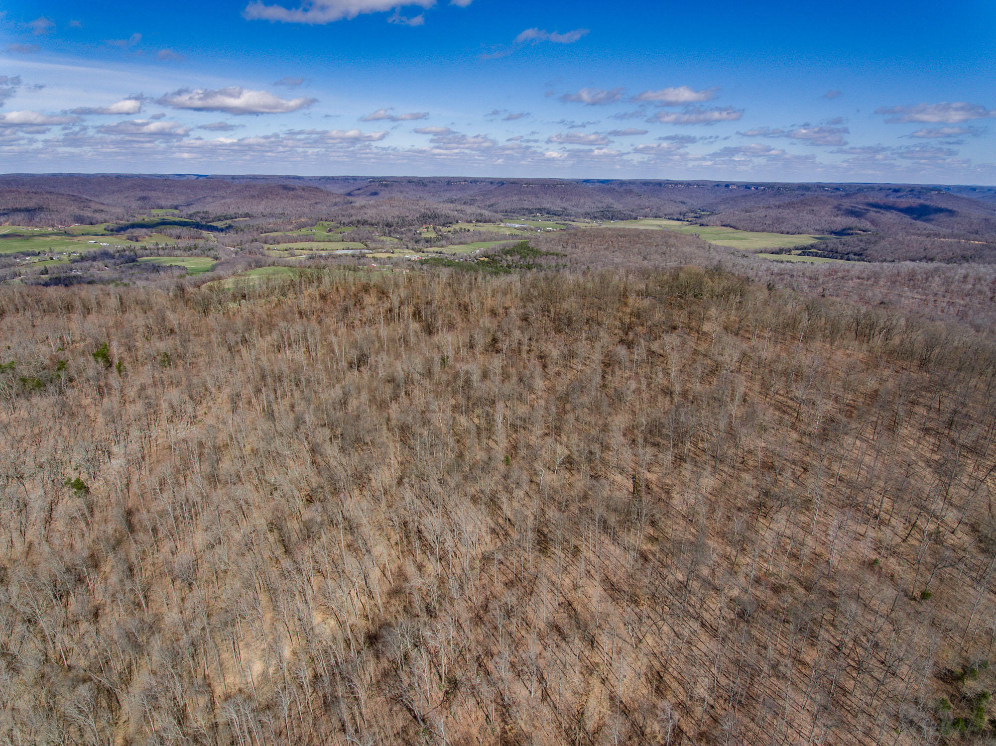 Bob Upchurch Road Pall Mall, TN 38577 - Photo 8 of 14 Aerials-7